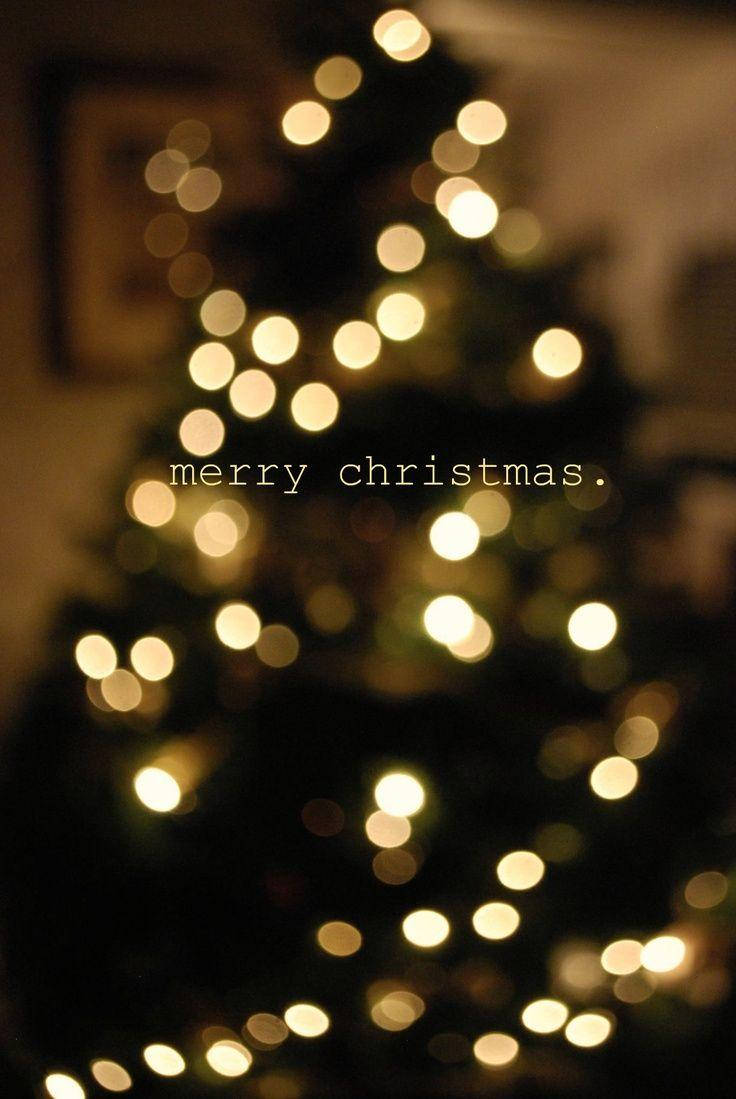 Cute Aesthetic Christmas Wallpaper