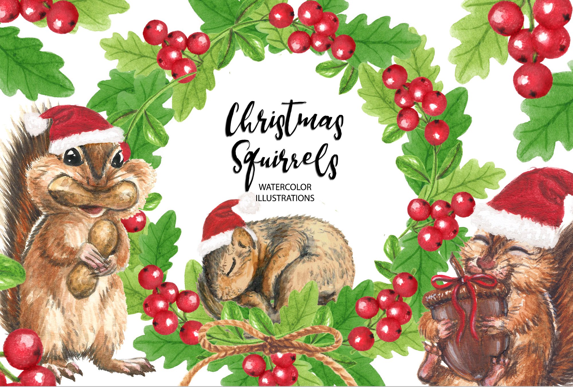 CHRISTMAS SQUIRREL Clipart Set. Animal Illustrations Creative Market