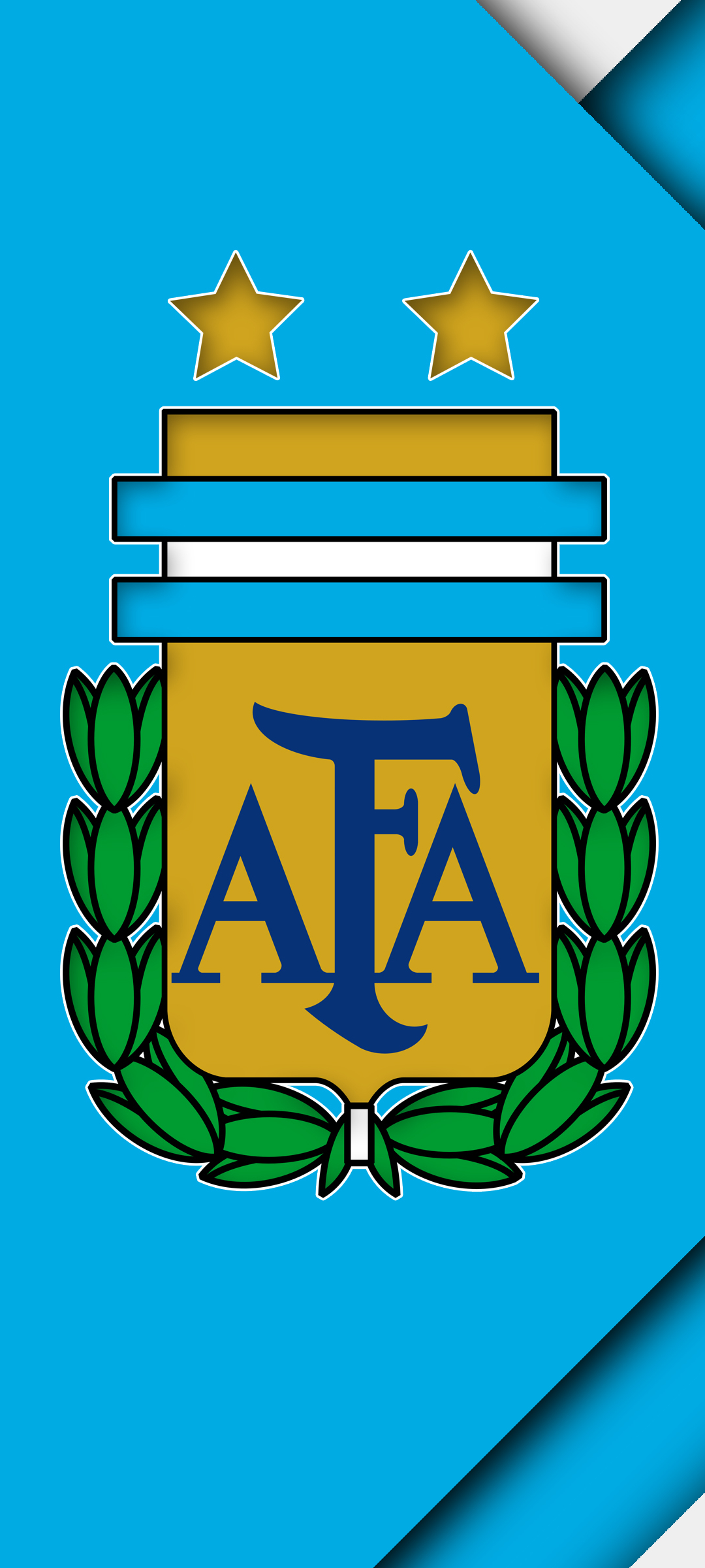 Amazon.com: Argentina Argentine national football soccer team AFA sticker  decal 3