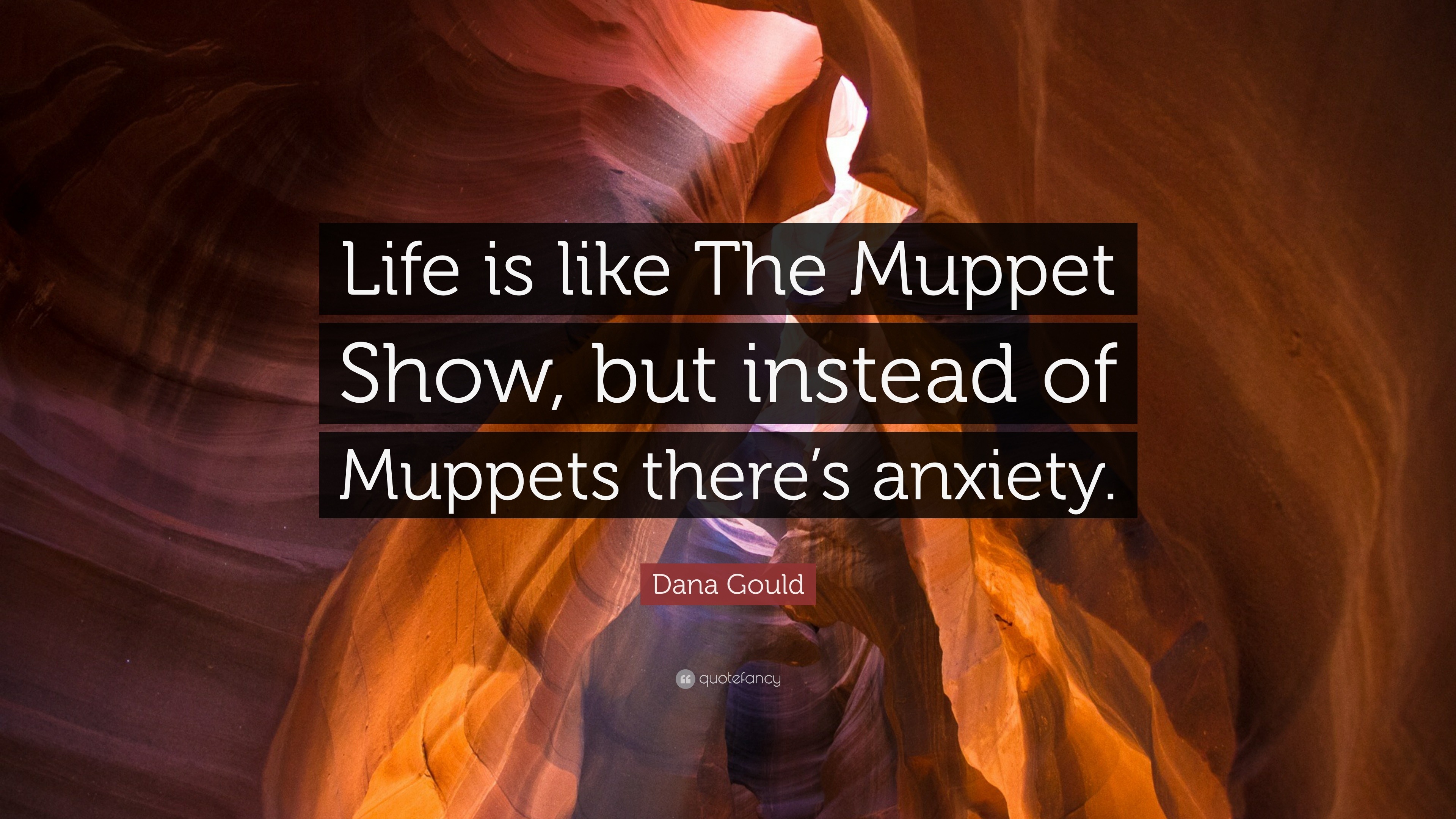 Dana Gould Quote: “Life is like The Muppet Show, but instead of Muppets there's anxiety.”