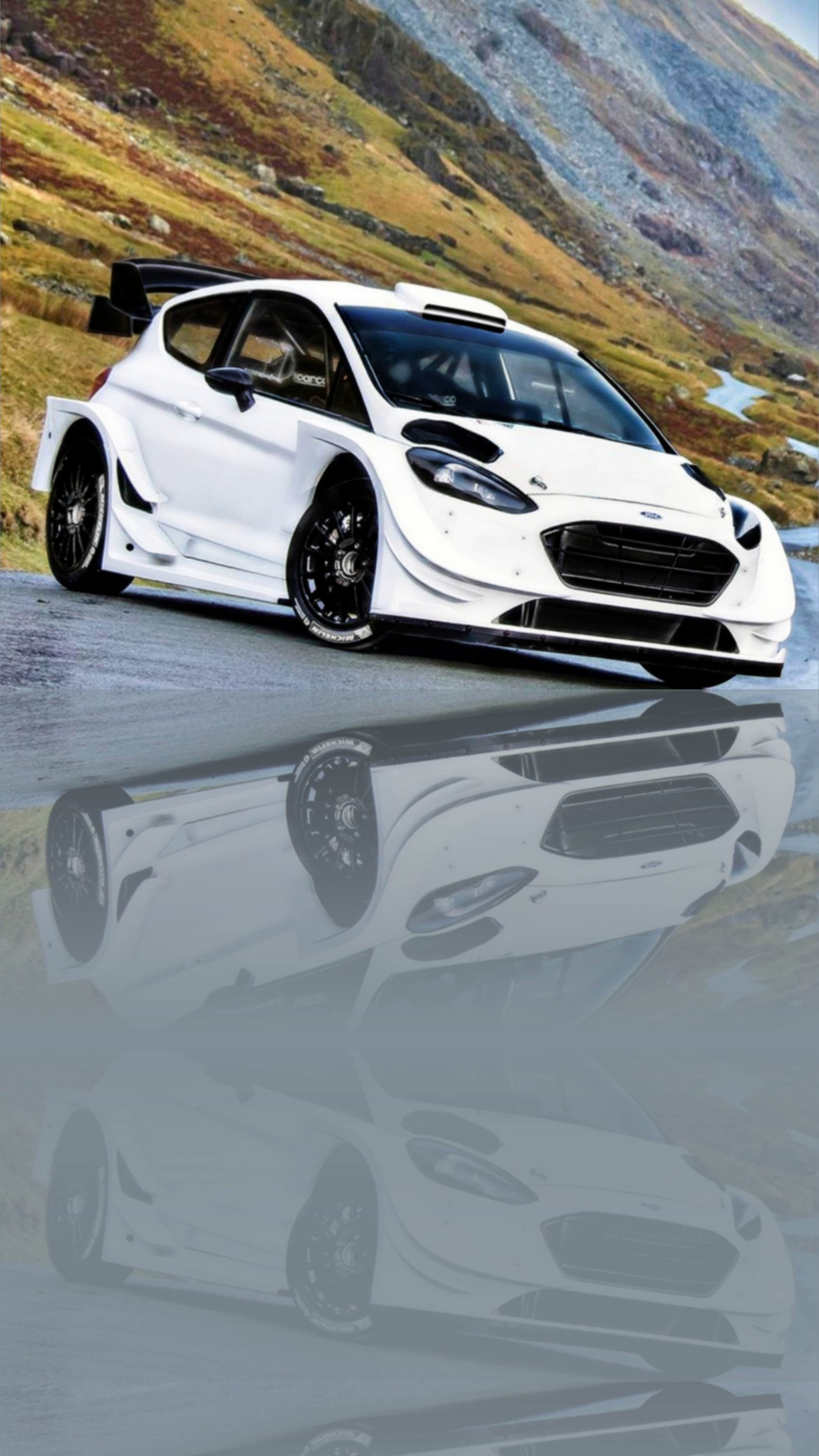 A wallpaper i made for any phone (Ford Fiesta ST widebody (not wrc)