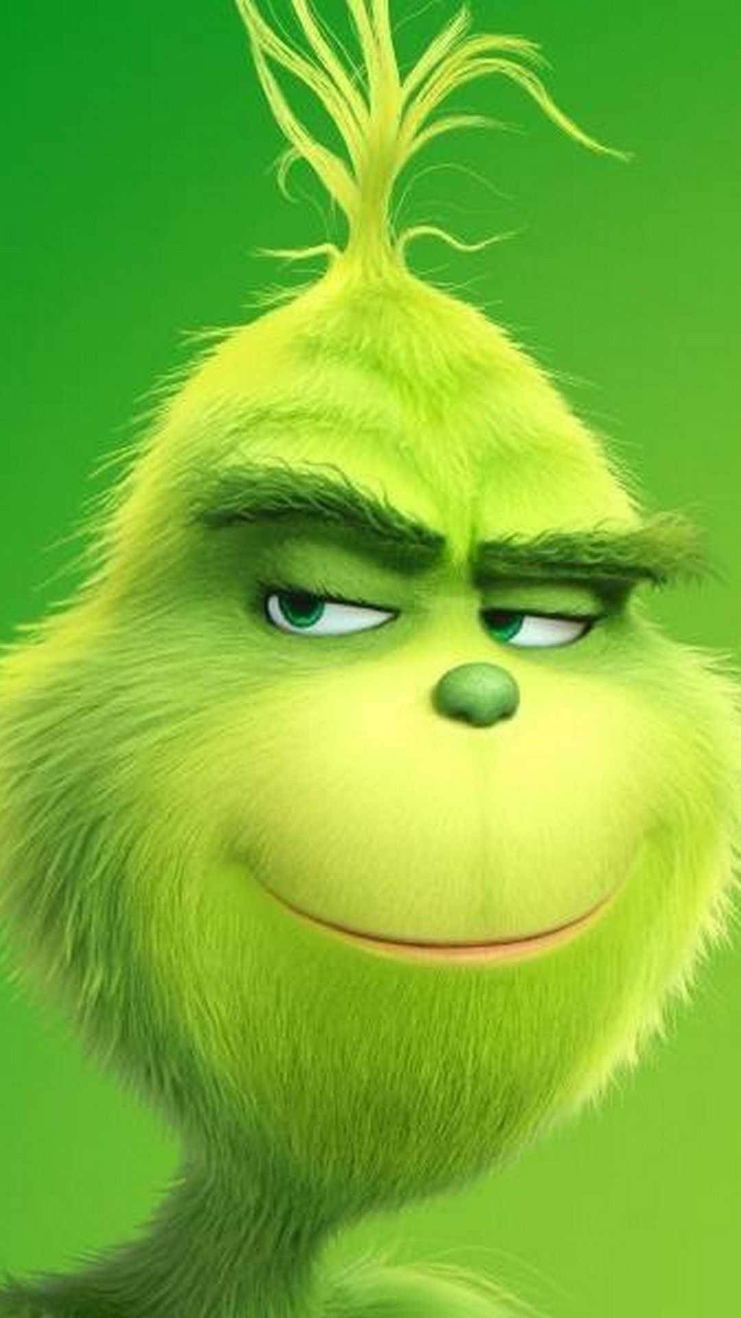 Download The Grinch Face Closeup Wallpaper