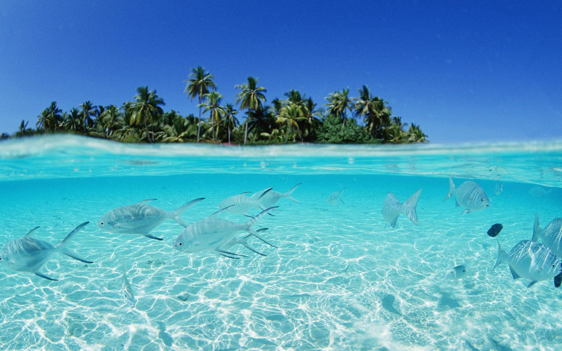 Crystal Clear Waters Wallpaper