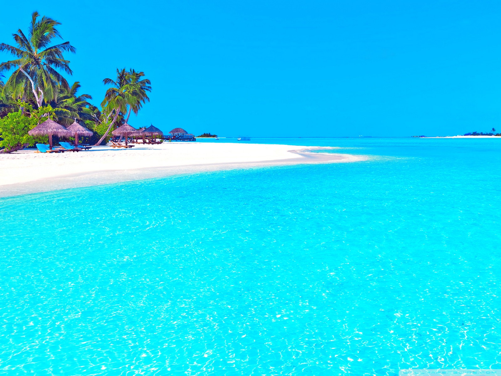 Crystal Clear Water Ultra HD Wallpaper