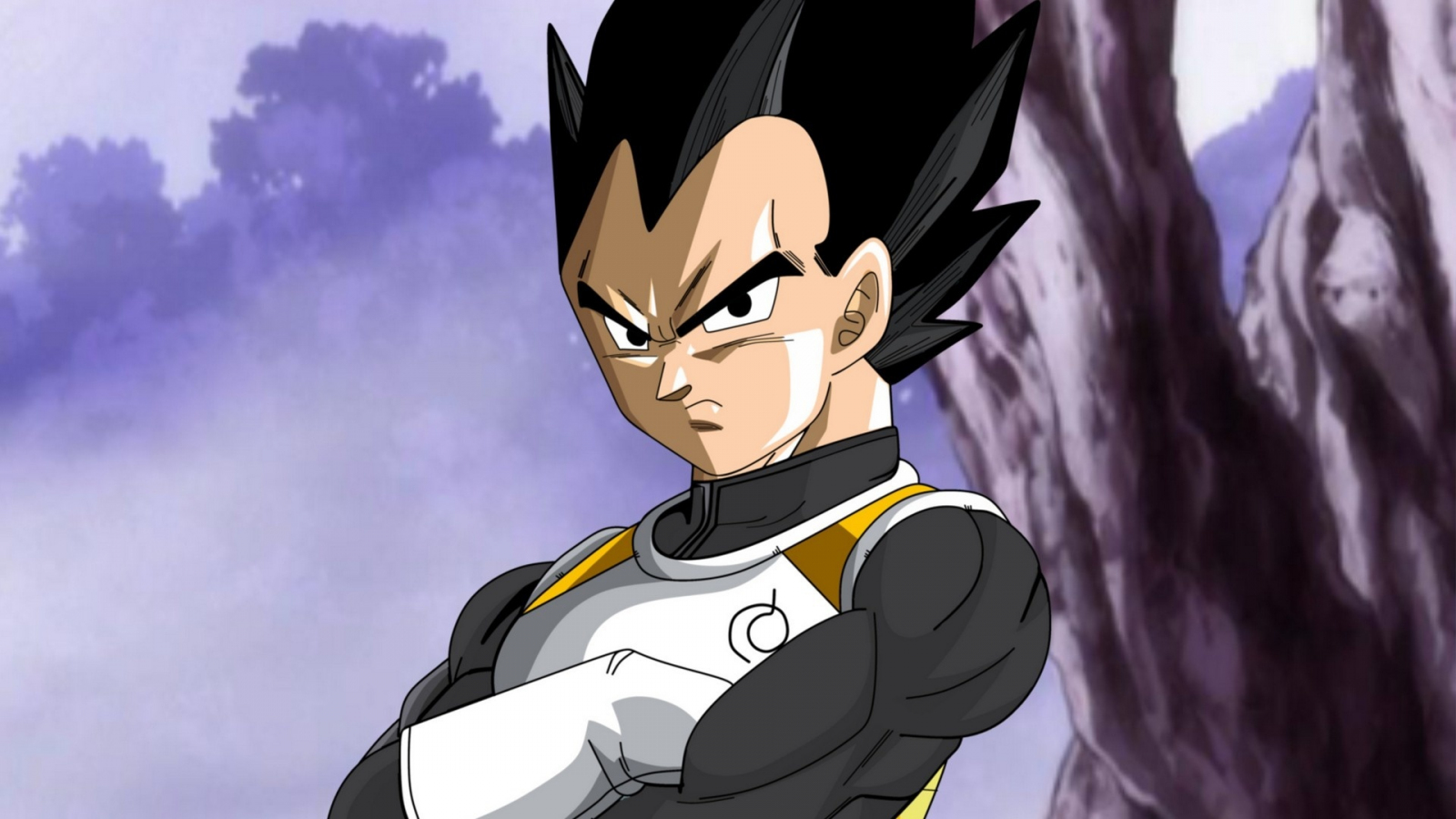 Download wallpaper 1600x900 dark hair, dragon ball super, angry, vegeta, 16:9 widescreen 1600x900 HD background, 7994