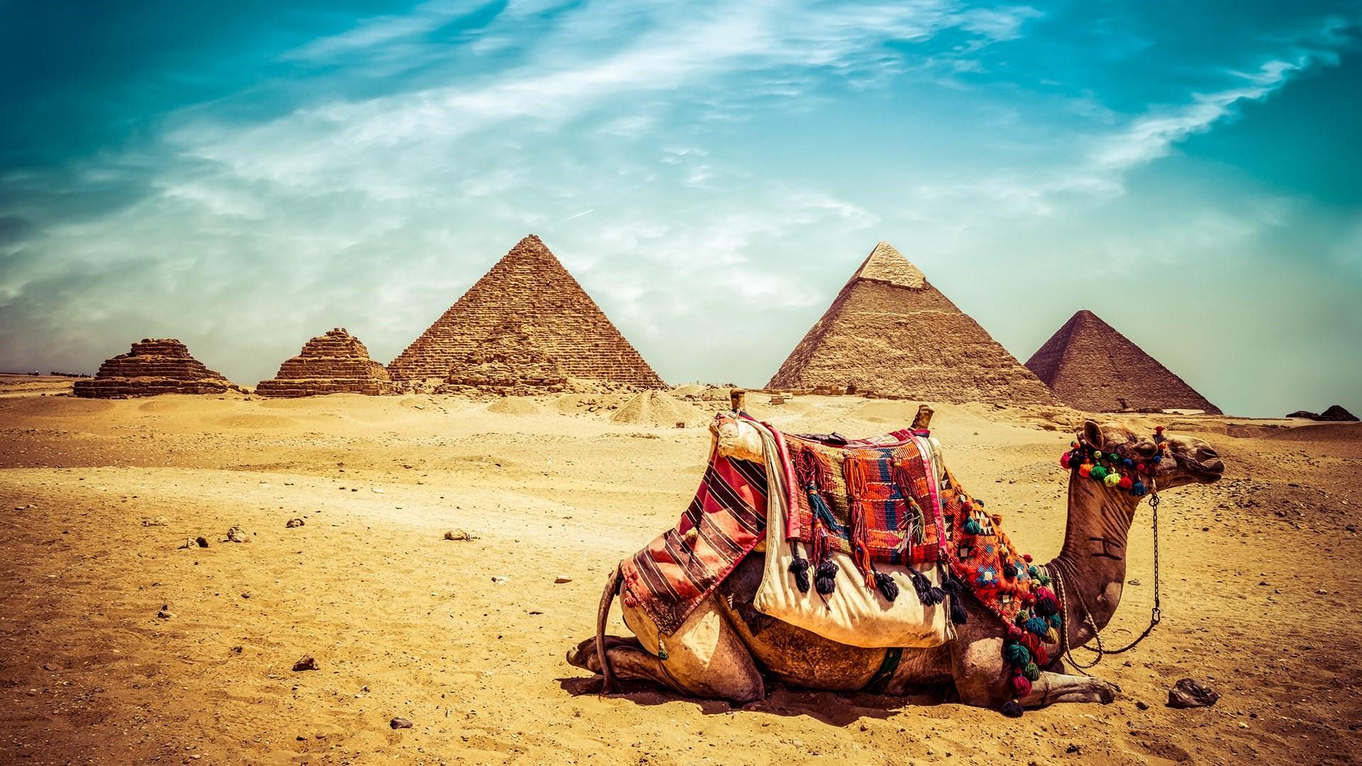 Camel At Giza Pyramid Of Khufu Or Cheops Pyramid Oldest And Largest Of The Three Pyramids In Giza Complex Egypt Desktop Wallpaper HD 1920x1080, Wallpaper13.com