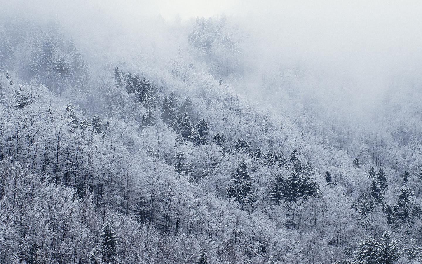 wallpaper for desktop, laptop. mountain wood winter christmas white