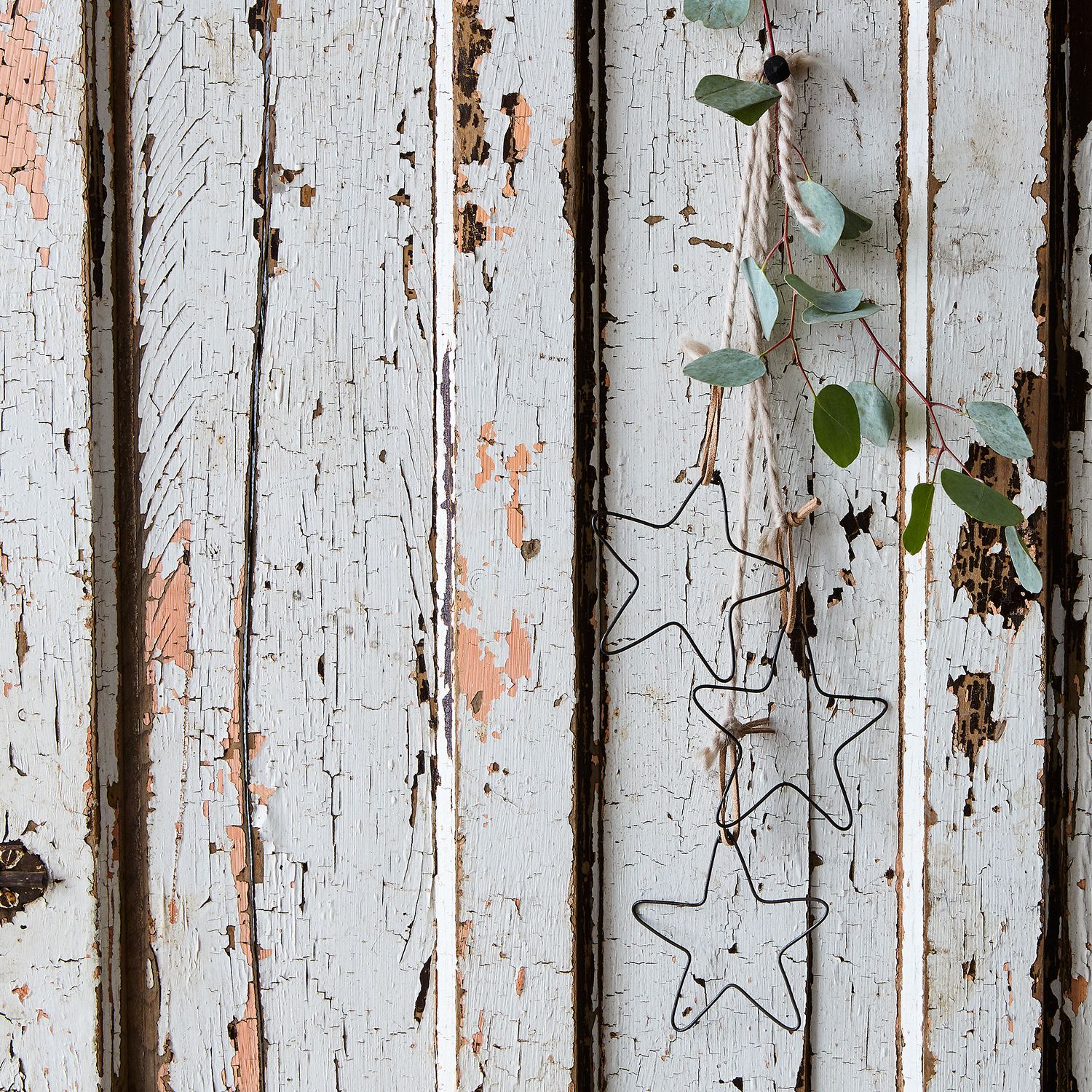 Celina Mancurti Wire Star Ornaments (Set of 5), Medium Weight Wire, Leather Loop on Food52