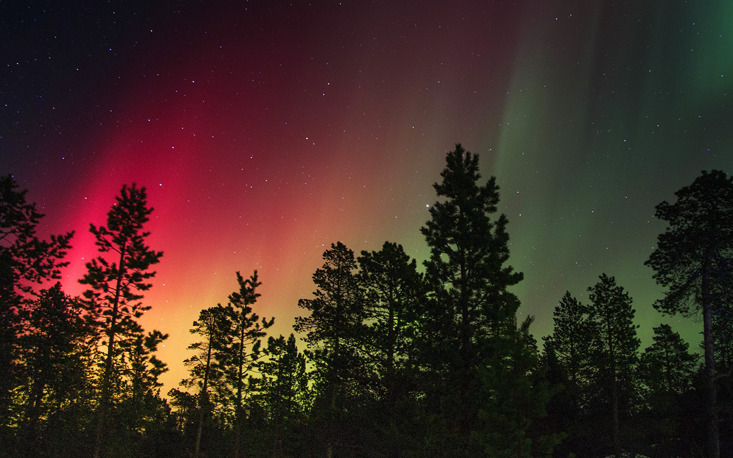 Snow Sky Aurora Night Winter Christmas Wallpaper