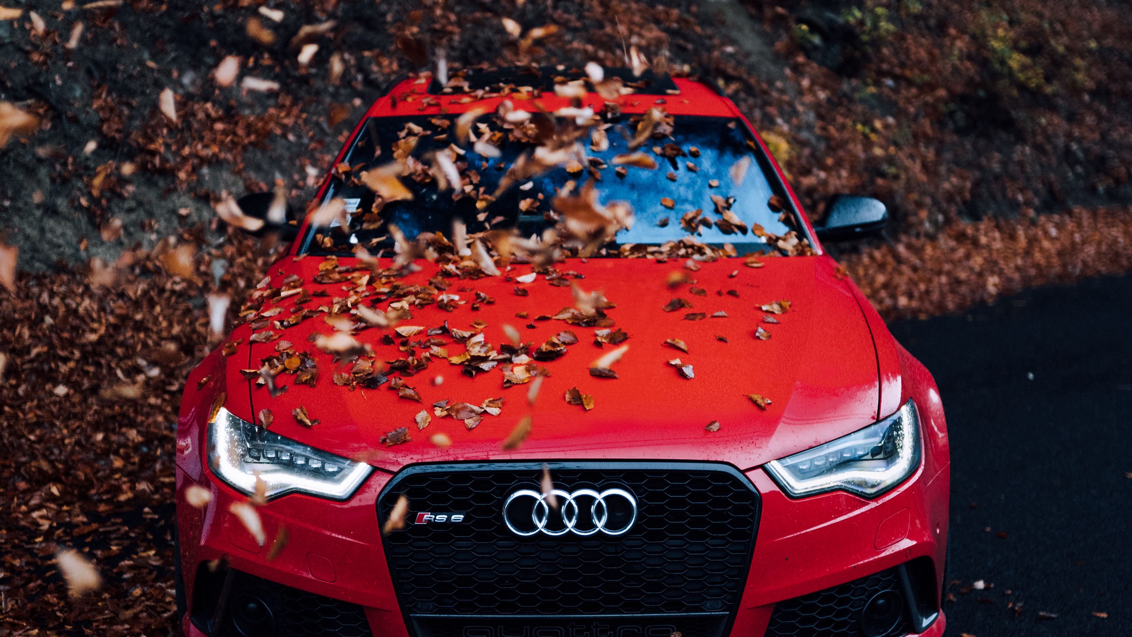 Download wallpaper 3840x2160 audi, car, front view, red, bumper, foliage, autumn 4k uhd 16:9 HD background