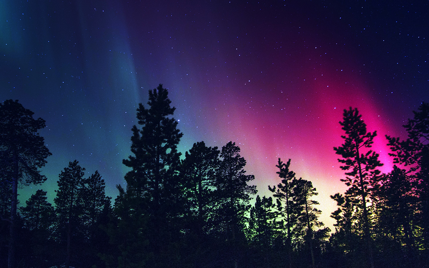 Snow Sky Aurora Night Winter Christmas Blue Wallpaper