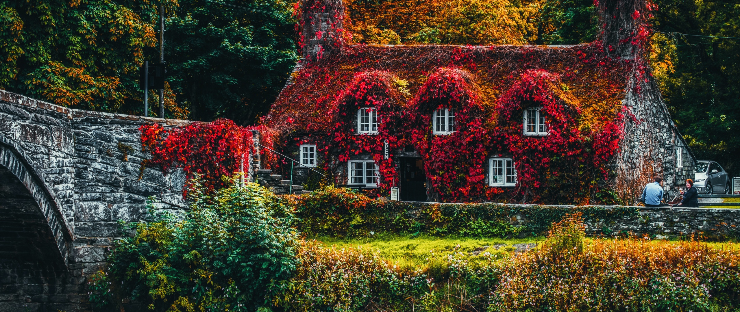 House Covered by Trees Wallpaper 4K, Autumn trees, Bridge