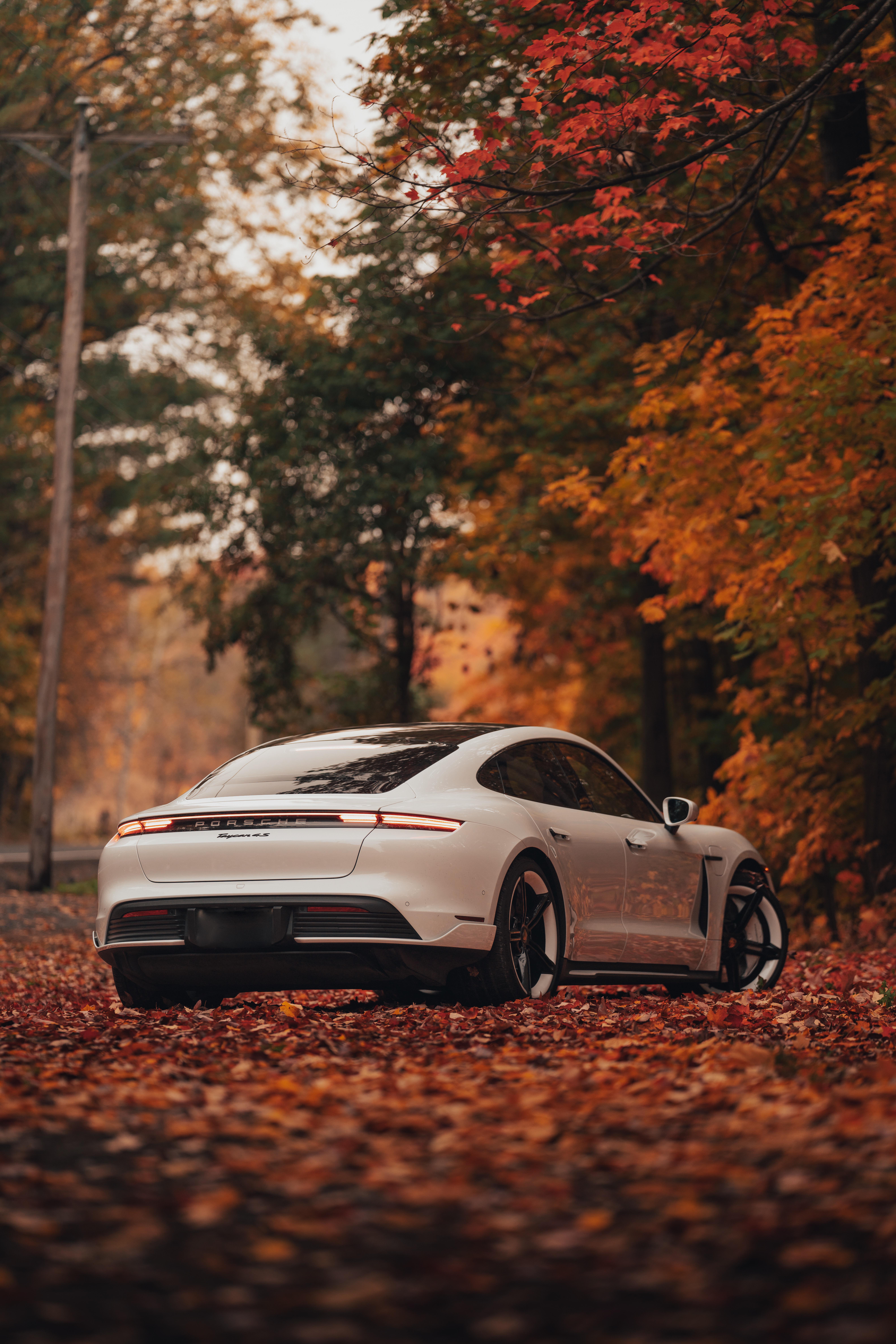 Autumn with the Porsche Taycan A7rIV
