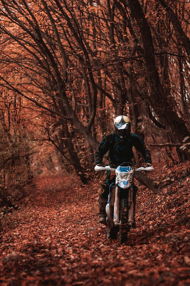 Beta Motorcycle Wallpaper