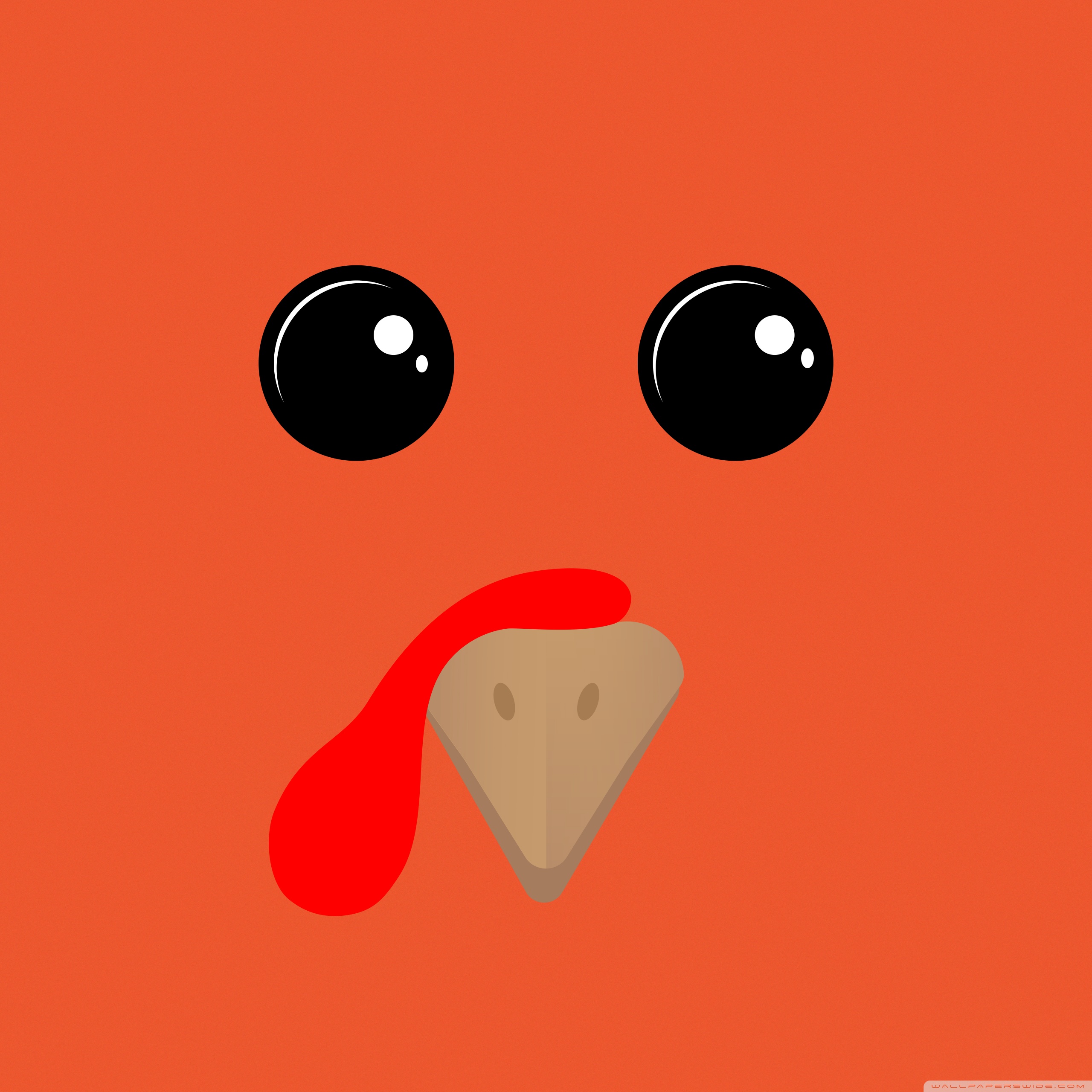 Thanksgiving Funny Turkey Ultra HD Desktop Background Wallpaper for 4K UHD TV, Tablet