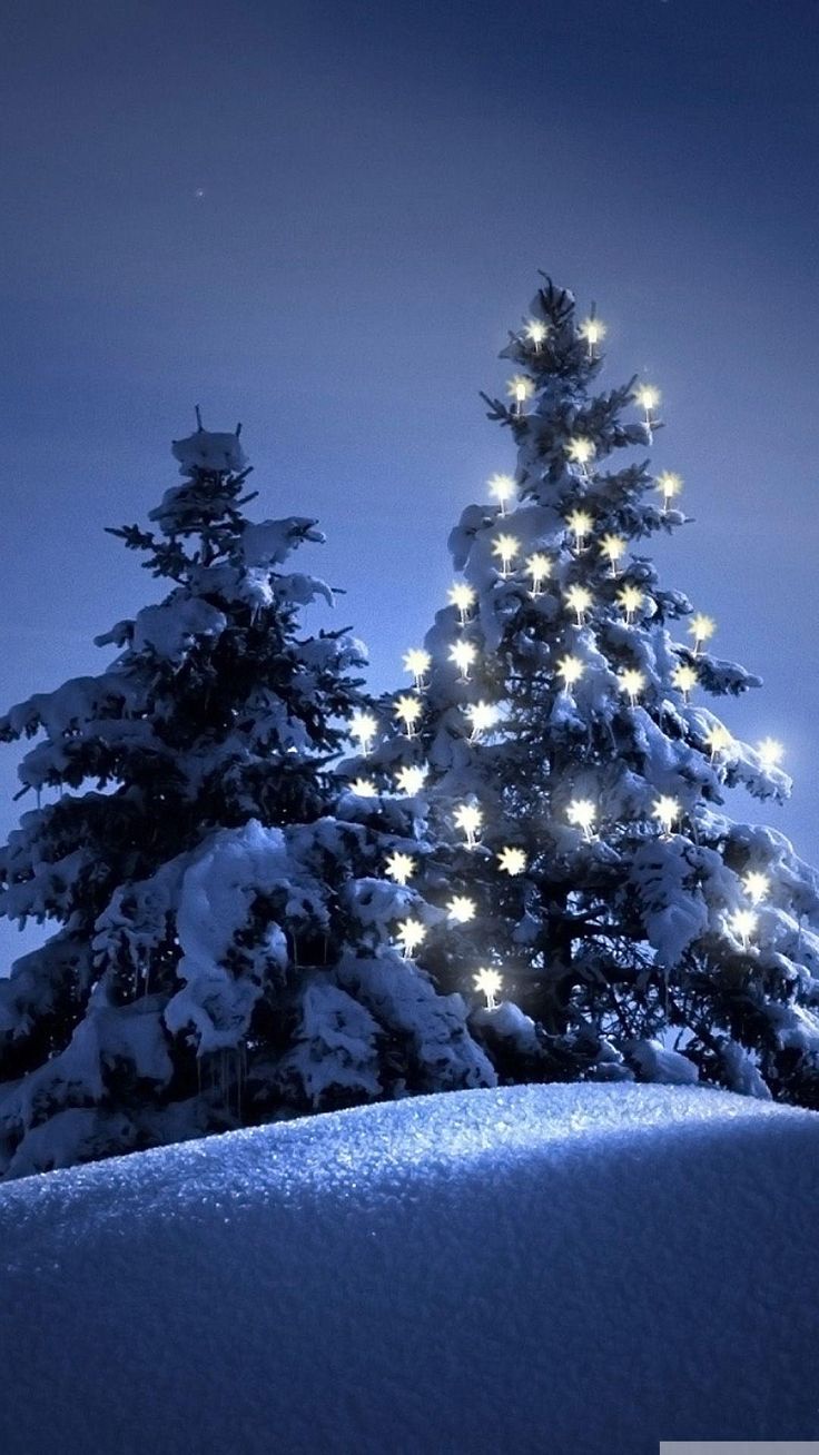Snow Christmas Tree Winter IPhone 6 Wallpaper. Wallpaper Iphone Christmas, IPhone Wallpaper Winter, Tree Wallpaper Iphone