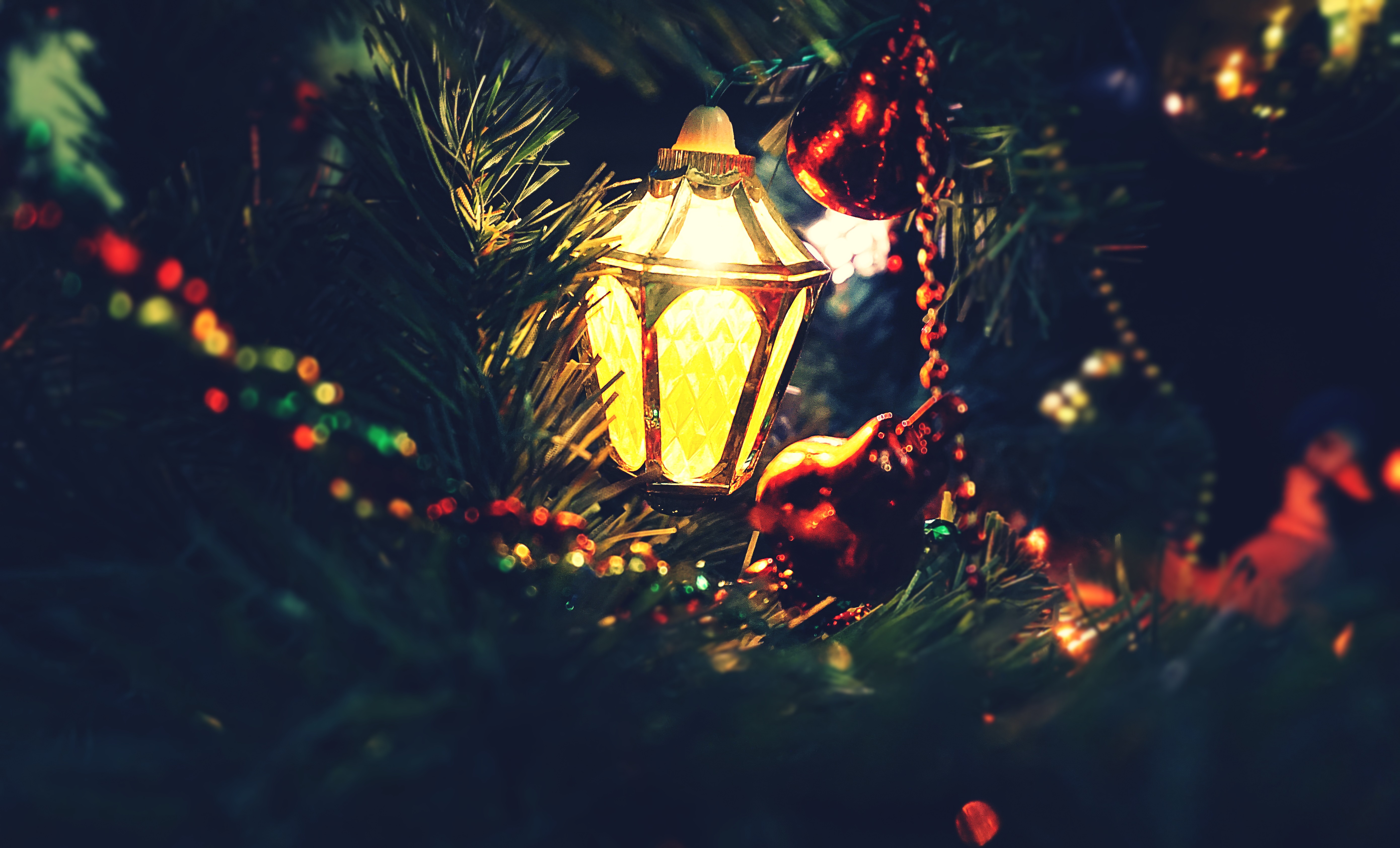 Free Image, christmas lights