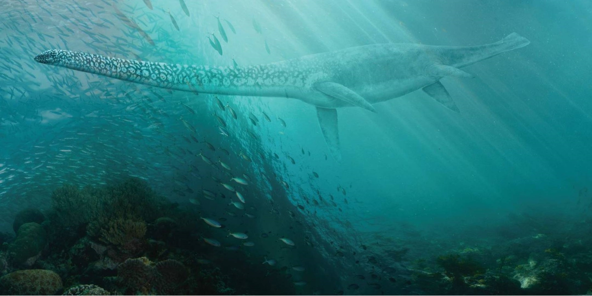 Underwater graphics: Designing Sea Monsters National Maritime Museum