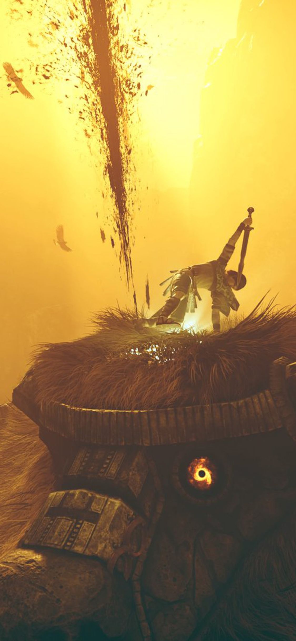 Shadow Of The Colossus Wallpaper. hdqwalls.com. Shadow of the colossus, Colossus, Shadow