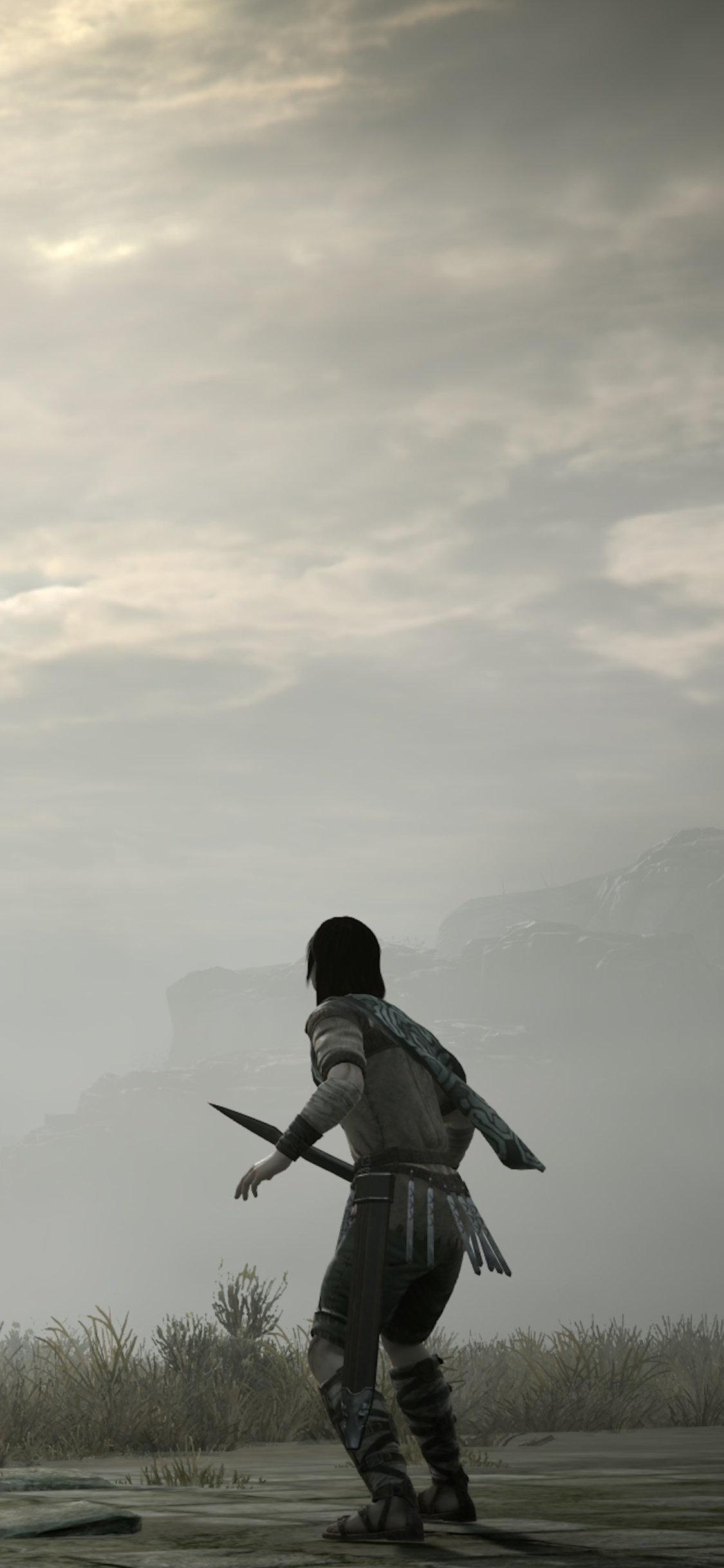 PSX 2017 Shadow Of The Colossus Collectors Edition PS4 Pro iPhone XS, iPhone 10, iPhone X HD 4k Wallpaper, Image, Background, Photo and Picture