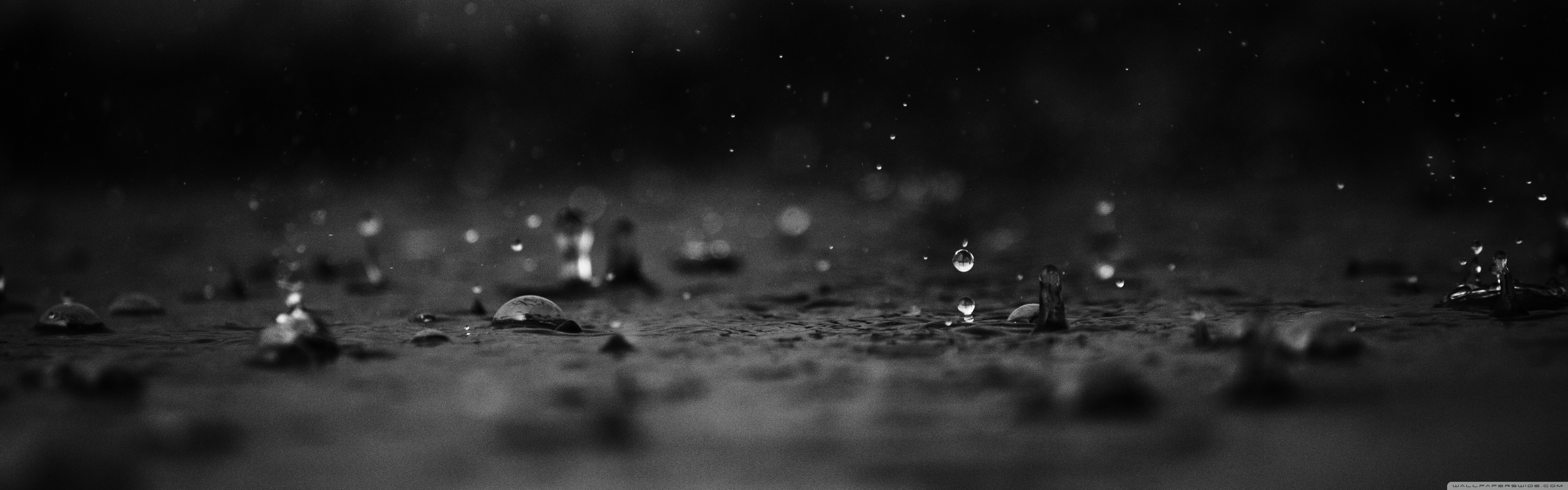 Rain Drops Ultra HD Desktop Background Wallpaper for 4K UHD TV, Widescreen & UltraWide Desktop & Laptop, Multi Display, Dual Monitor, Tablet