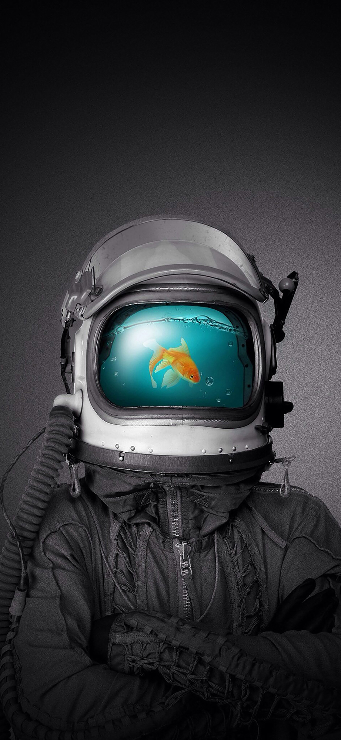 Wallpaper Fish Man Illust