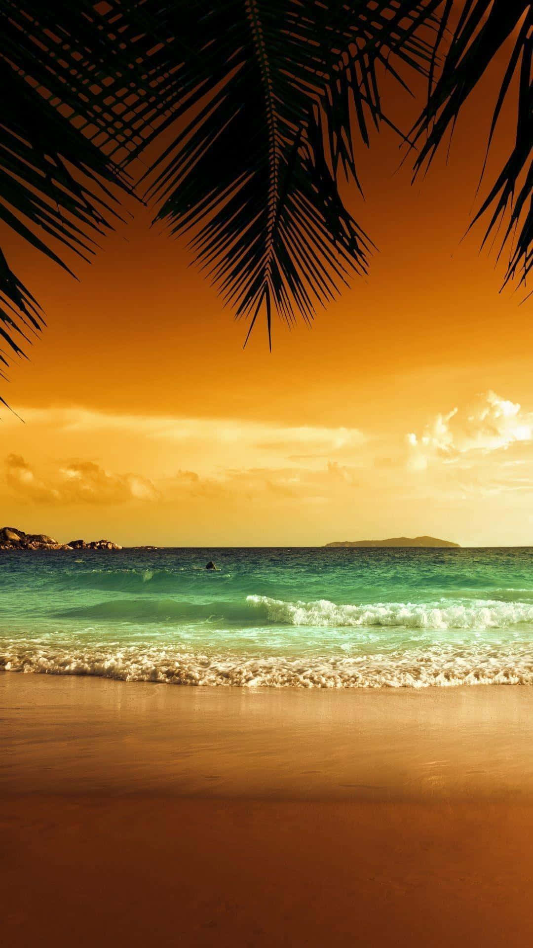 Download Cinematic Sunset Beach Tropical iPhone Wallpaper