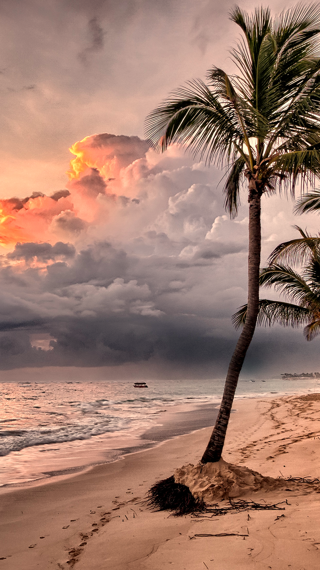 Tropical Dusk iPhone 12 Wallpaper