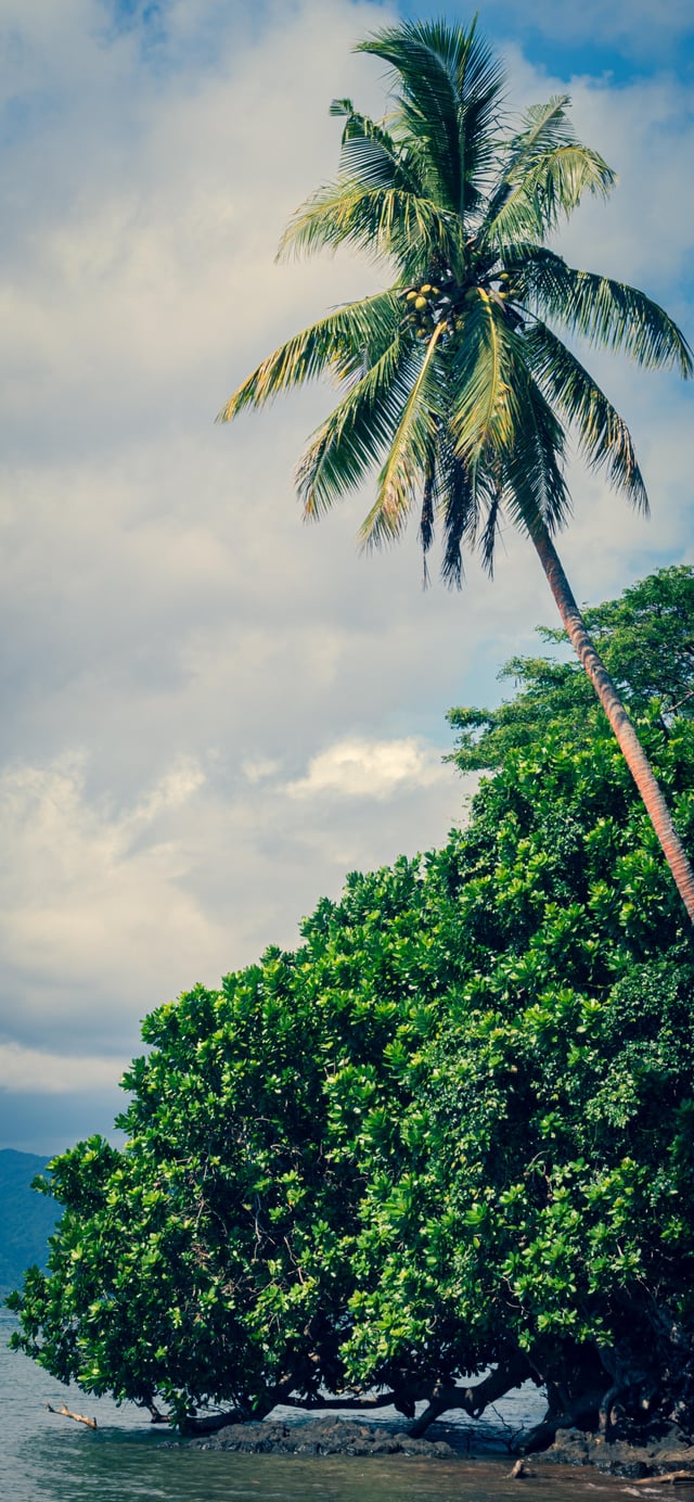 I'm a nature / landscape photographer an I made a set of 20 wallpaper from my picture. Free for personal use, don't monetize / use them for businesses please