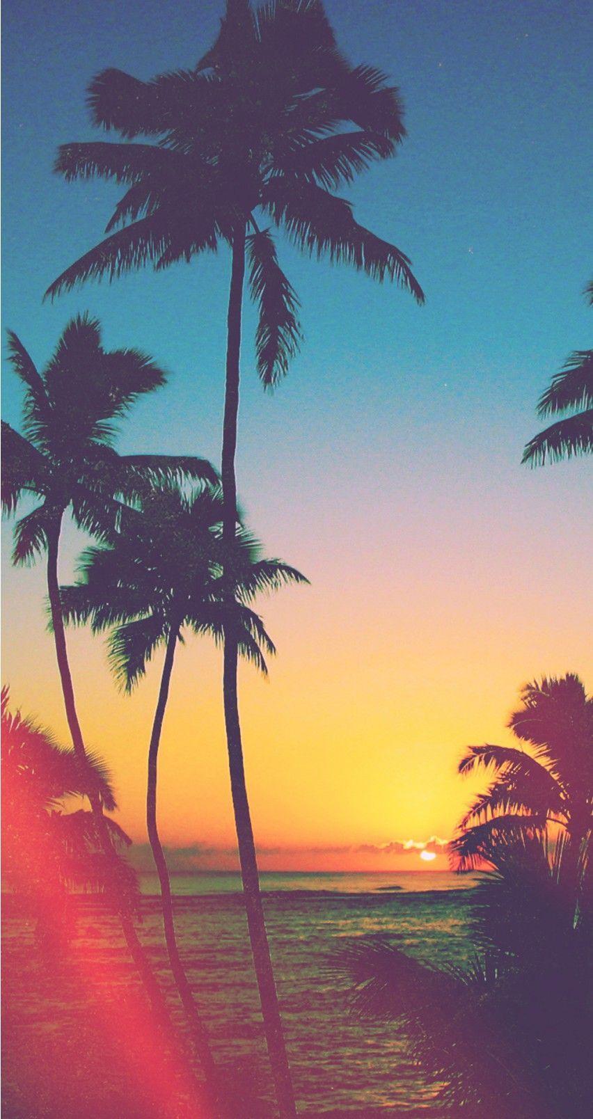 Tropical iPhone Wallpaper