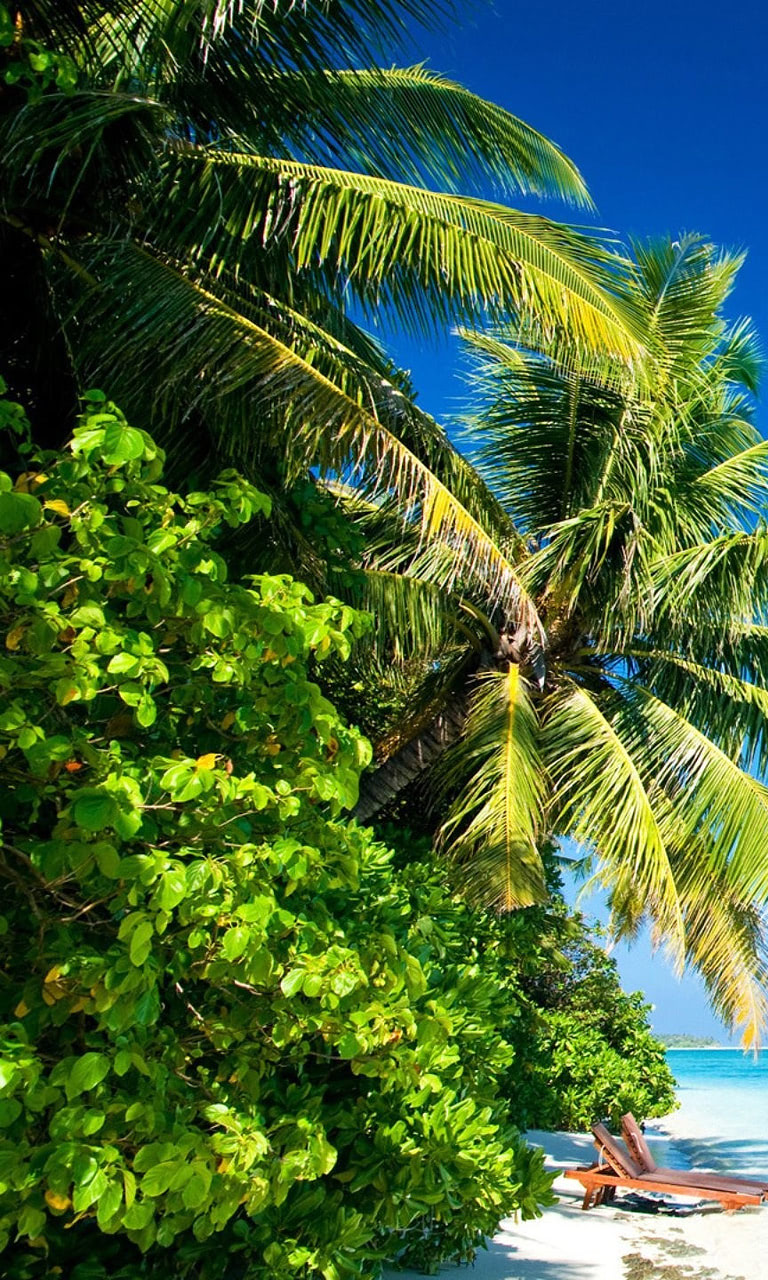 Tropical ocean wallpaper