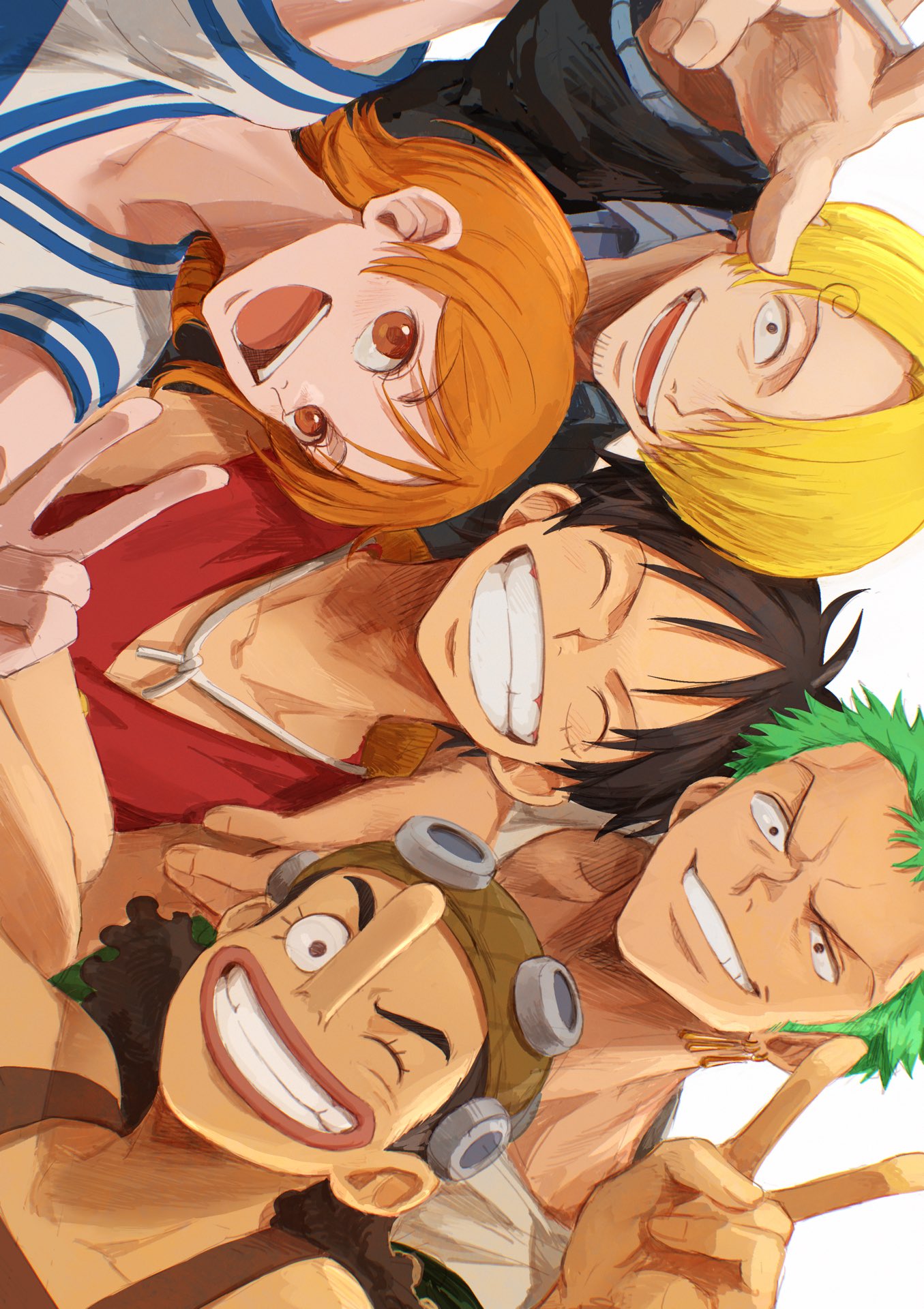 nami, monkey d. luffy, roronoa zoro, sanji, and usopp (one piece) drawn