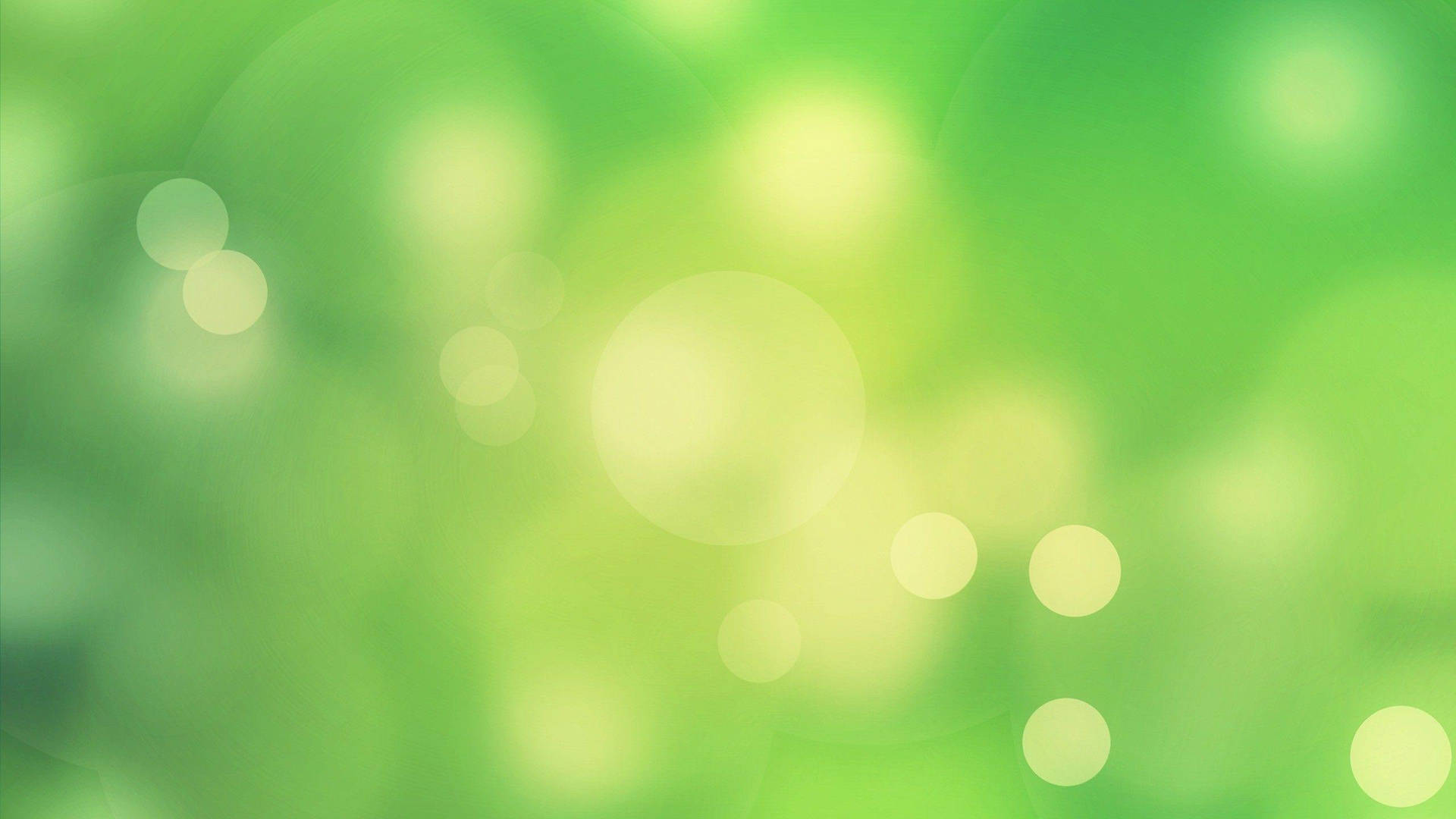 Light Green Wallpaper