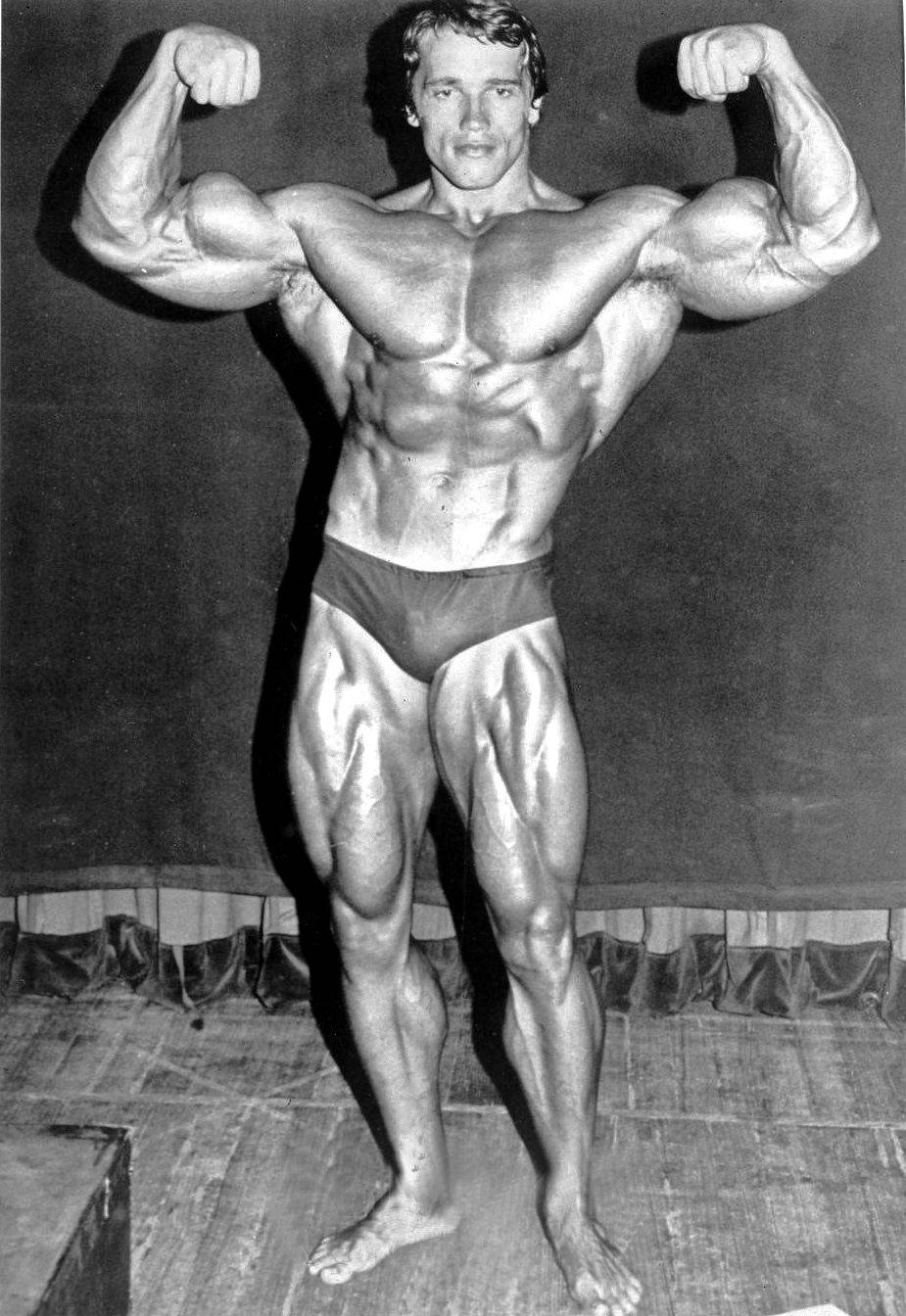 Download Arnold Schwarzenegger Wallpaper