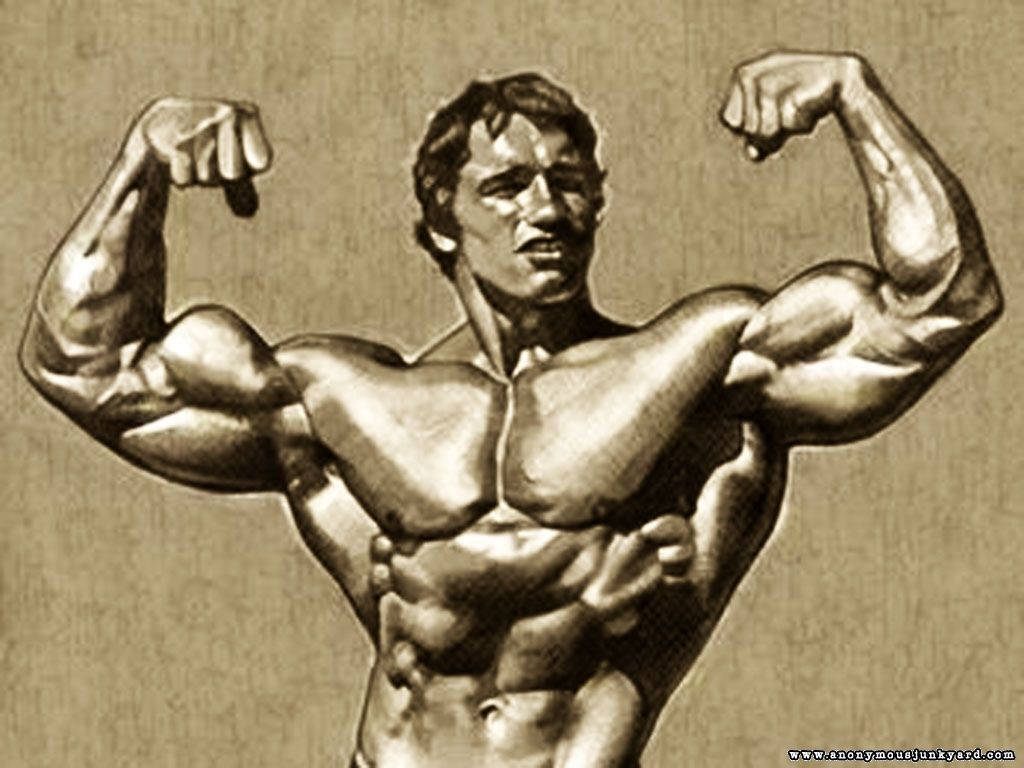 Arnold Schwarzenegger Wallpaper