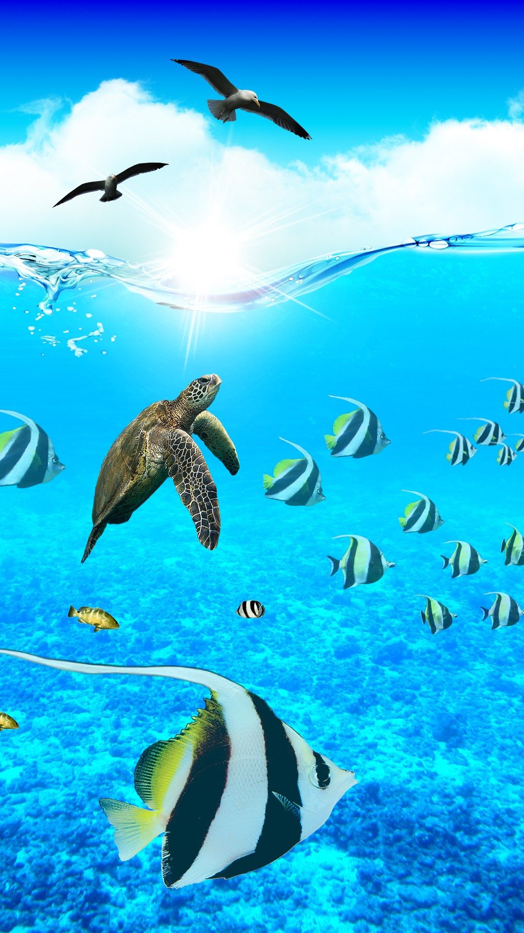 Ocean Aquarium. Nature wallpaper
