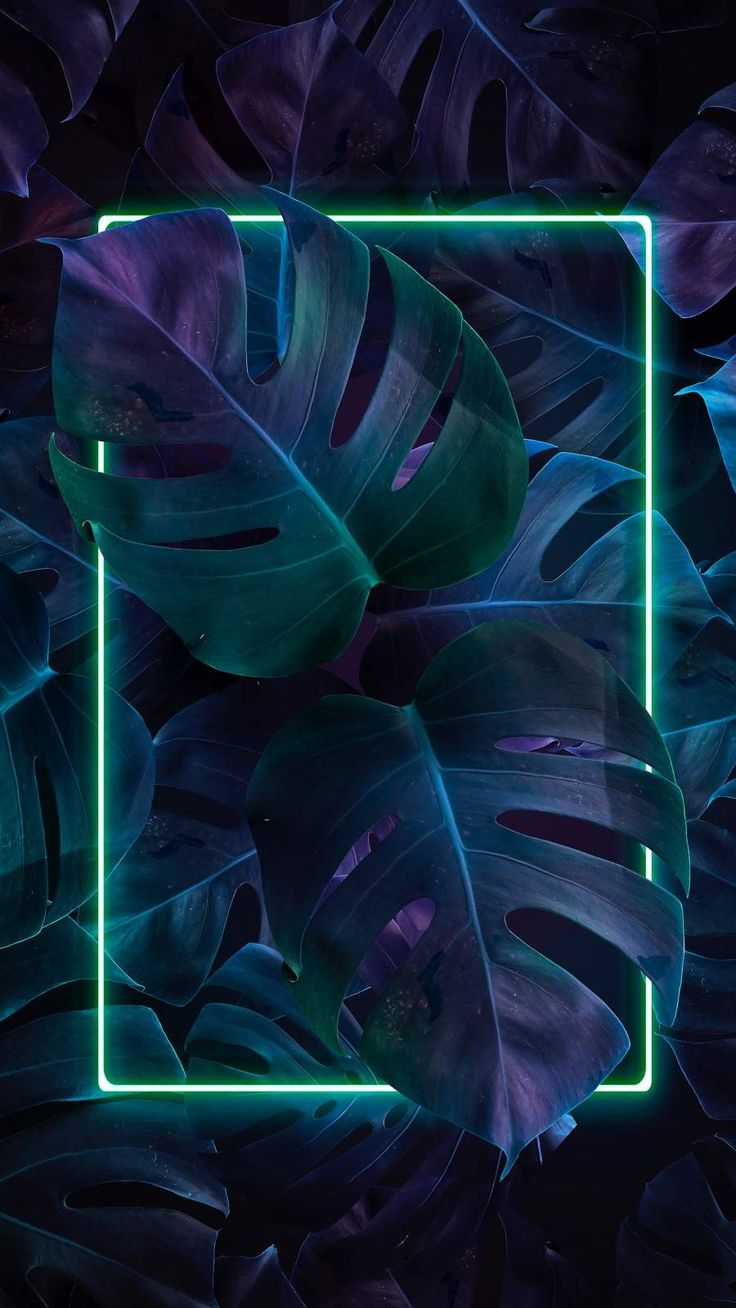 Neon Nature Wallpaper, iPhone Wallpaper 72