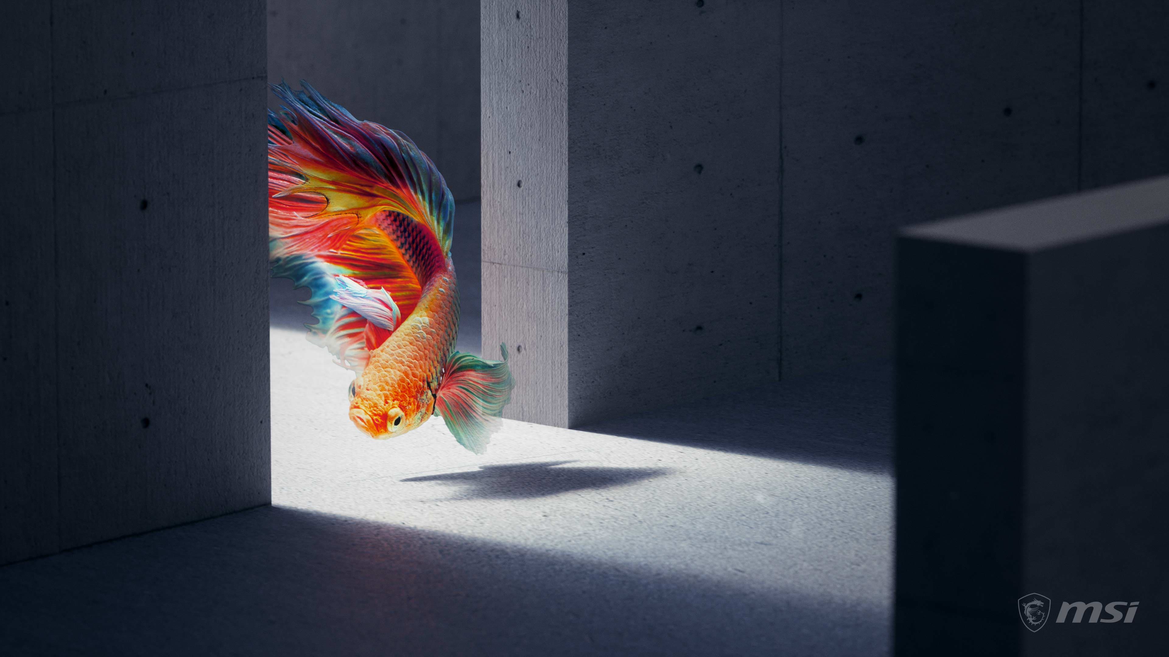 Here Is A Cool RTX Wallpaper I Found On MSI's Website, R MSI_Gaming