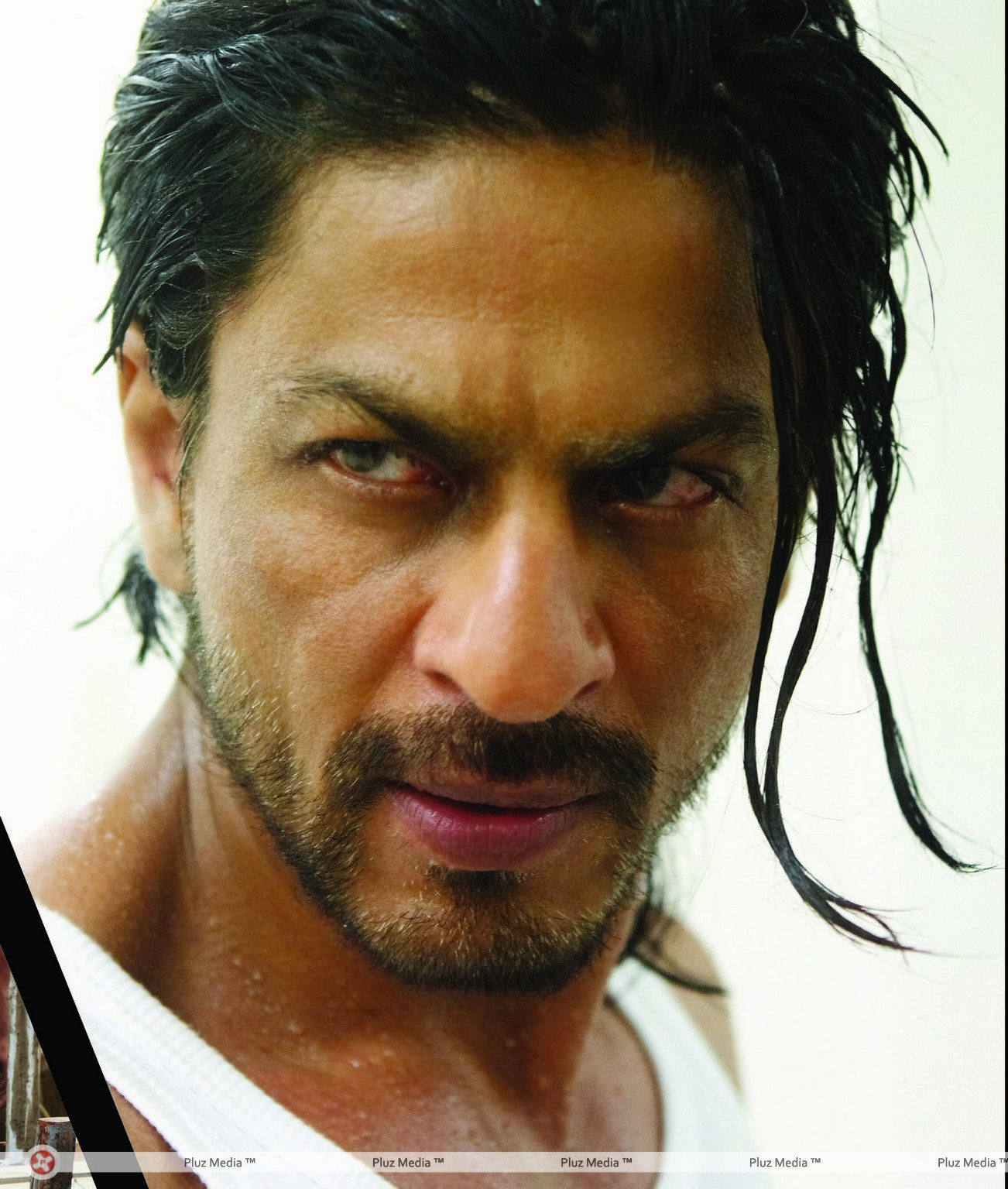 Review: Don 2 has no edge-of-the-seat moments - Rediff.com