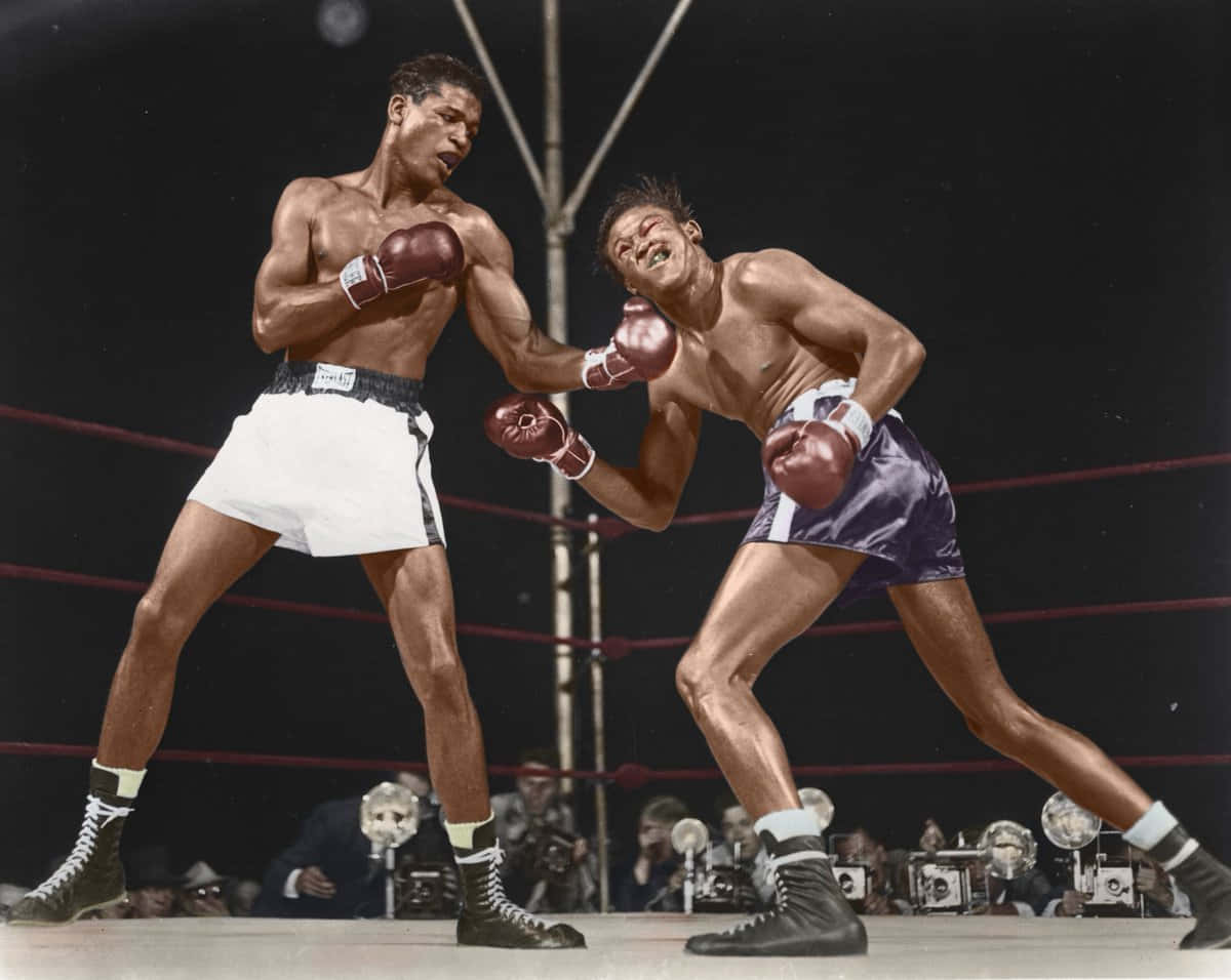 Download Kid Gavilan Colored Boxing Match Wallpaper