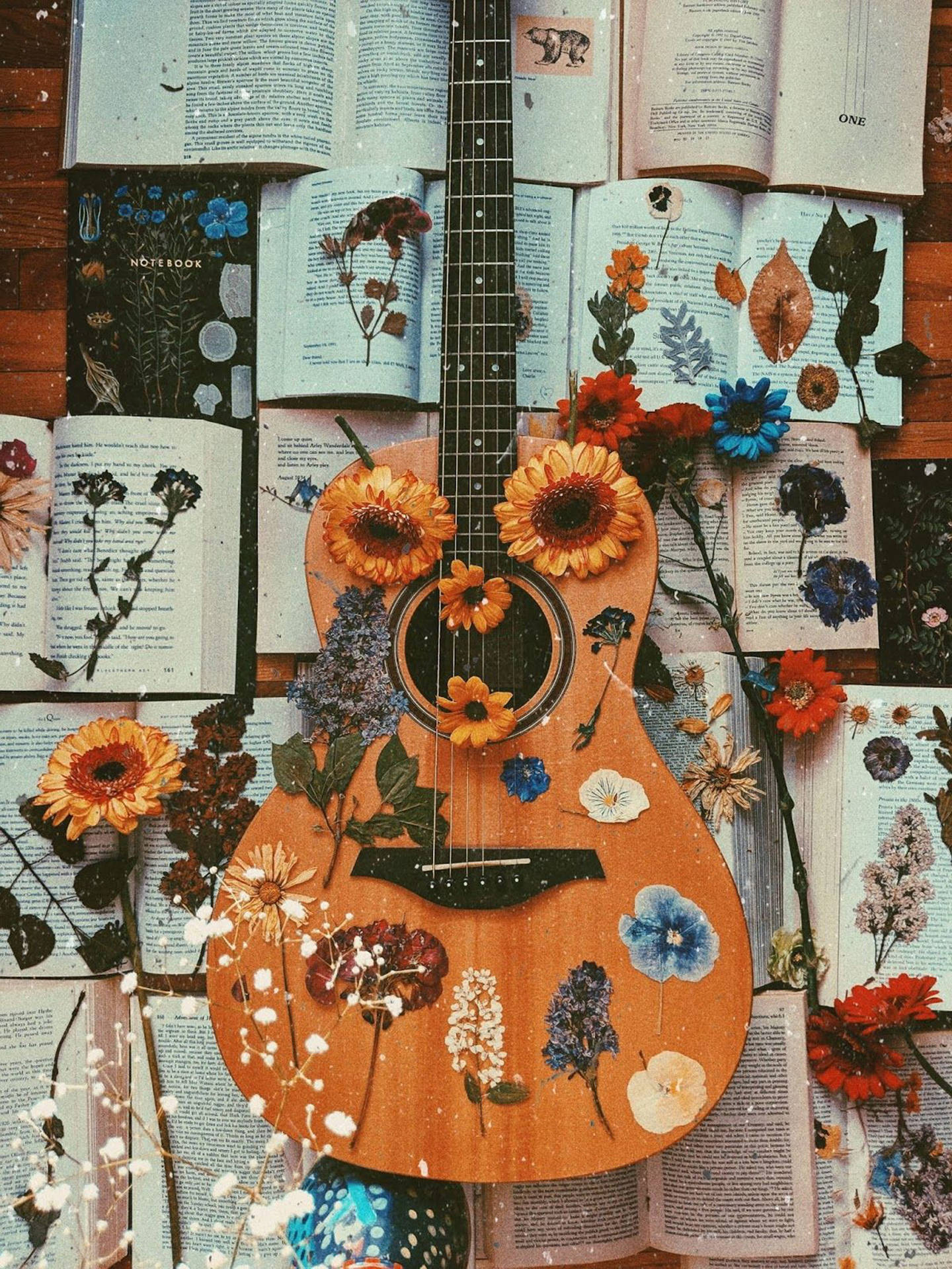 Download Amy Nelson Guitar Wallpaper