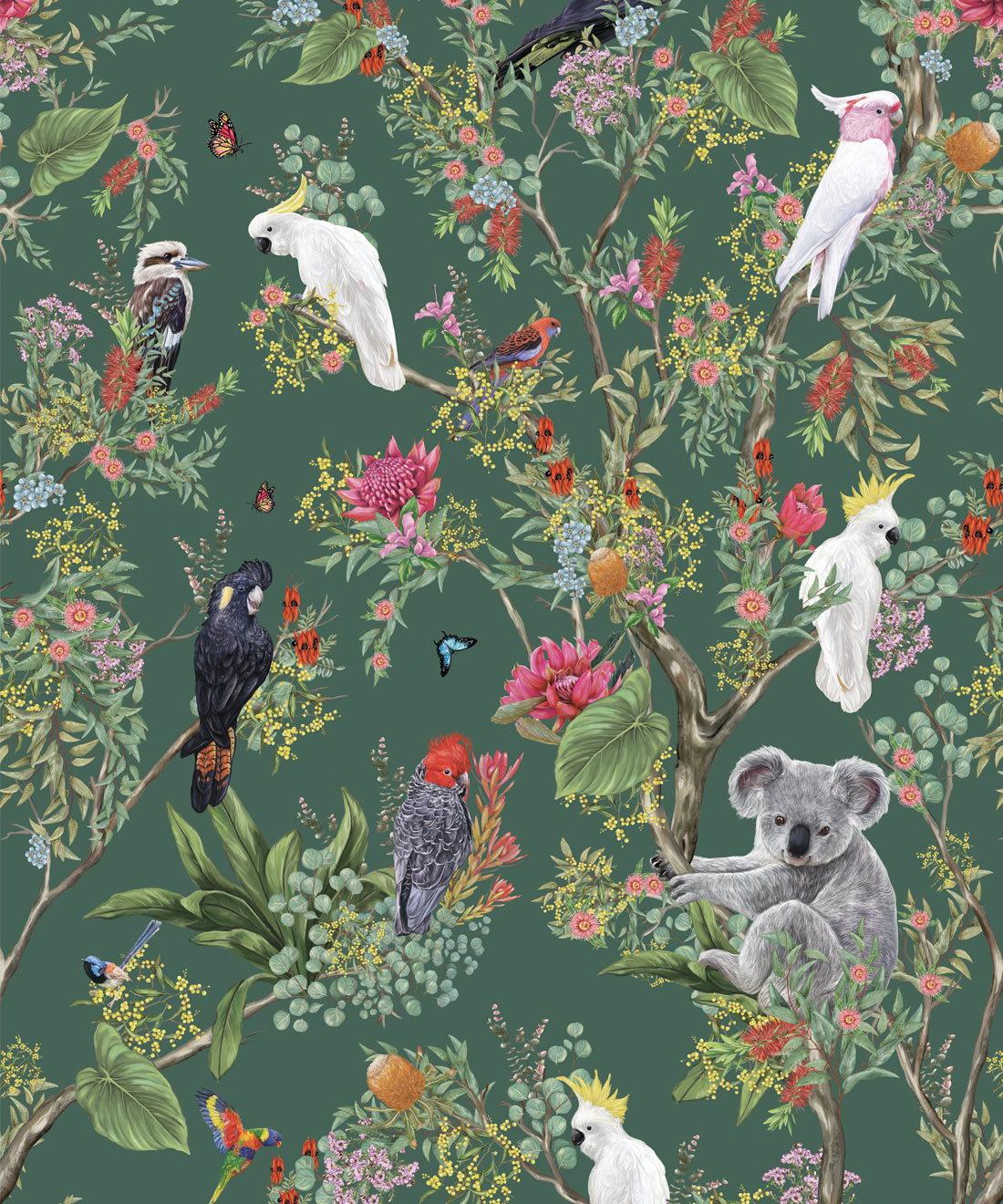 Australia Wallpaper • Koalas and Cockatoos Australia