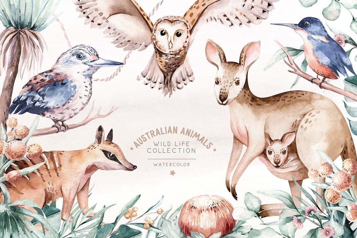 Australian Animals Watercolor Set