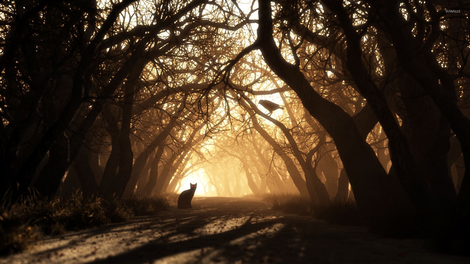Dark forest wallpaper Art wallpaper