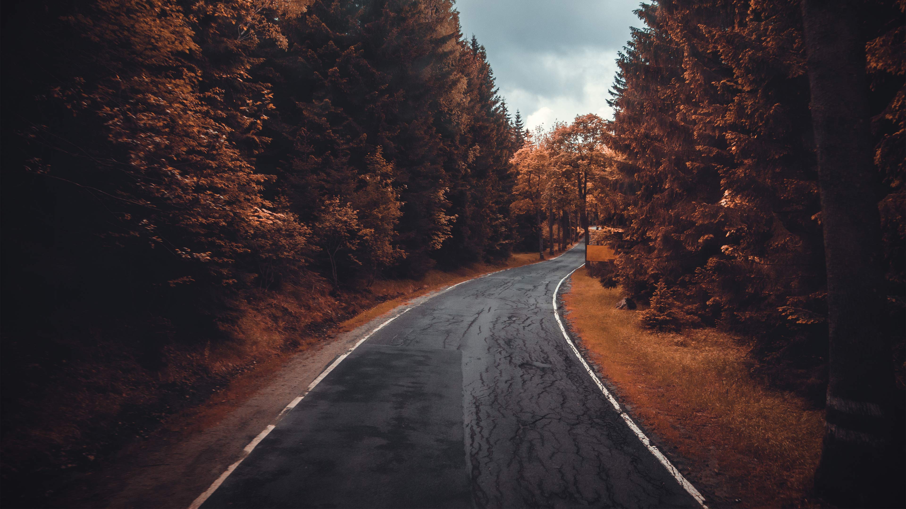 Roadest (Wallpaper from Ubuntu 21.10)