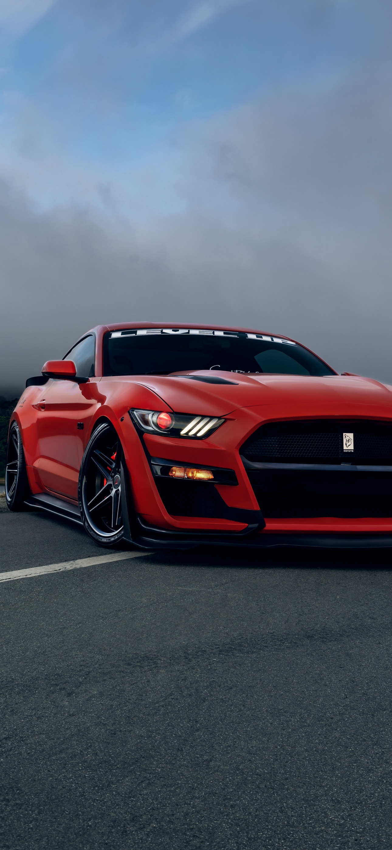 Ford Mustang GT Wallpaper 4K, Sports