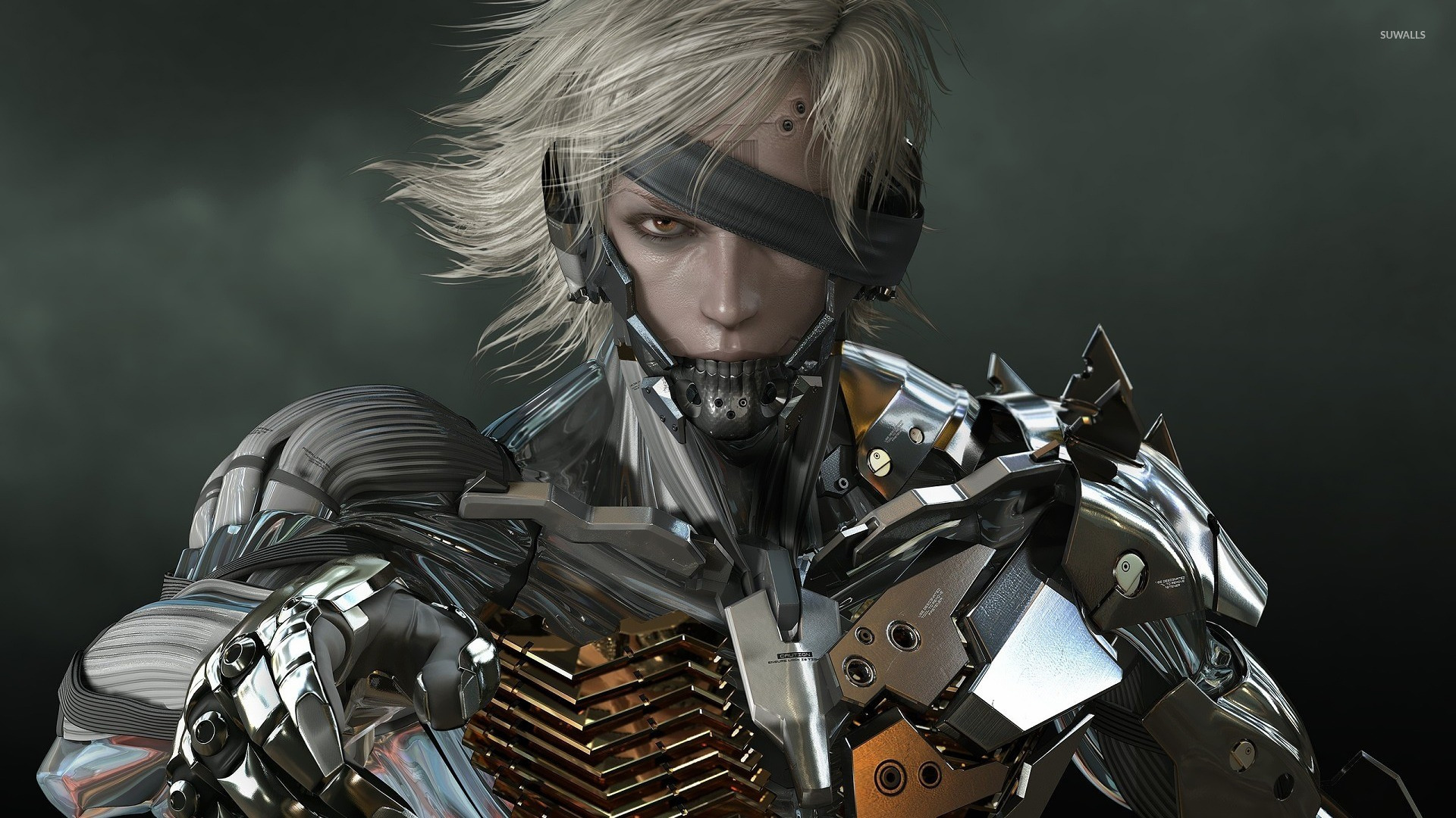 Raiden Gear Solid 2: Sons of Liberty wallpaper wallpaper