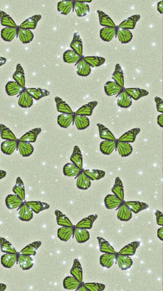 Green Butterfly Wallpaper