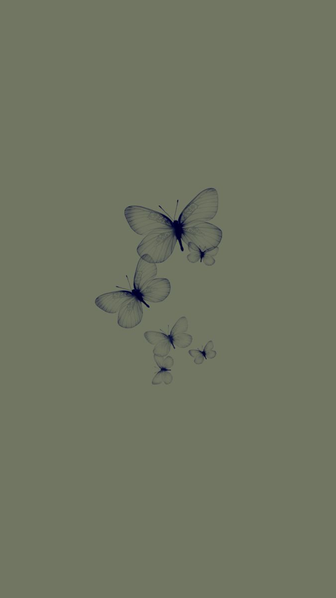 Sage green butterfly wallpaper<3. Butterfly wallpaper, Simplistic wallpaper, Cute galaxy wallpaper