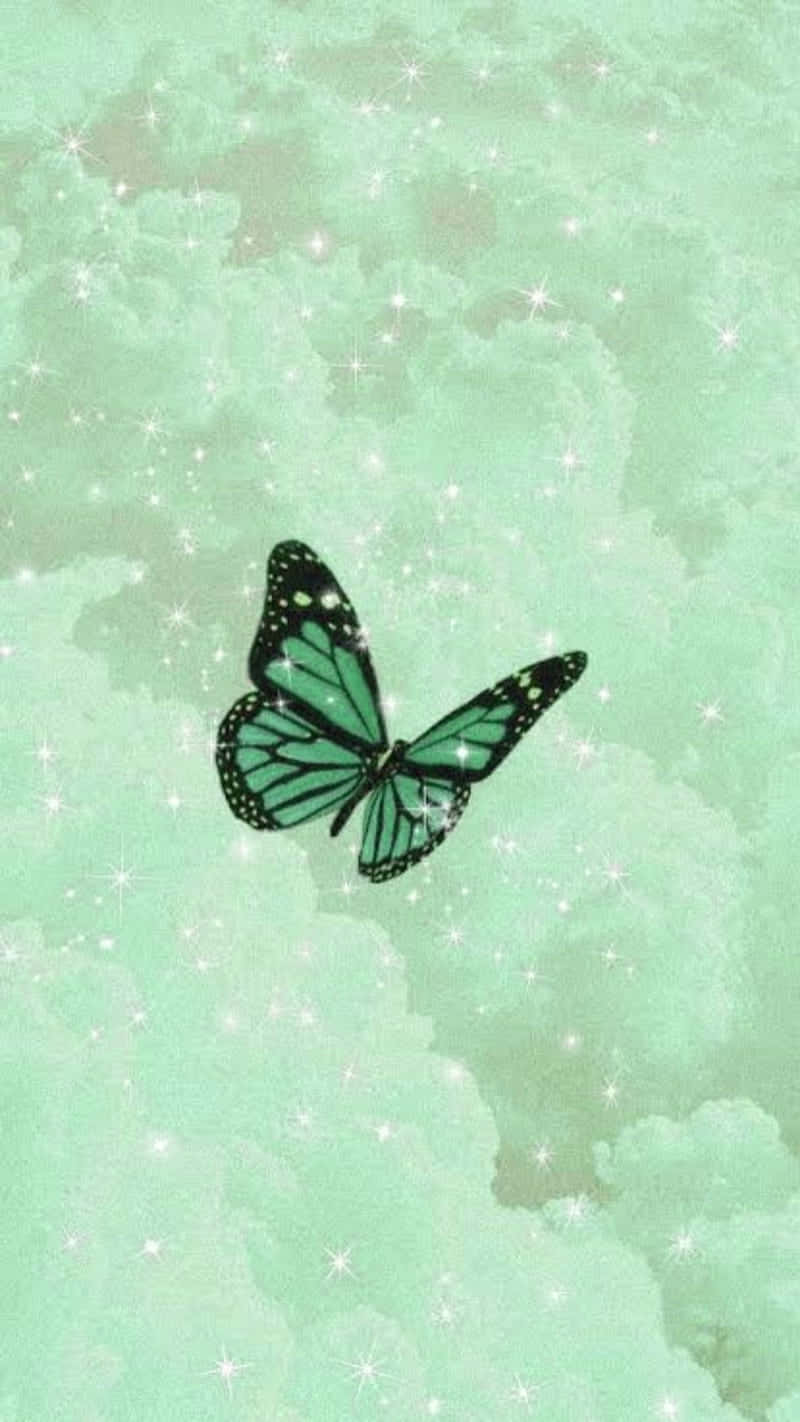 Download Stunning Green Butterfly Against Blue Background Wallpaper